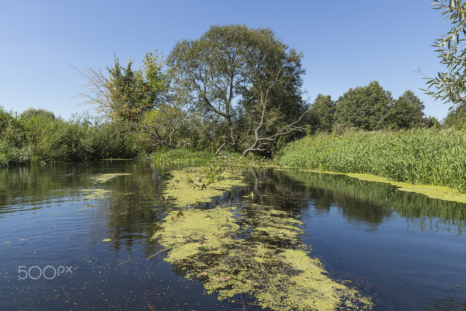 Canon EF-S 10-22mm F3.5-4.5 USM sample photo. River wkra, poland photography