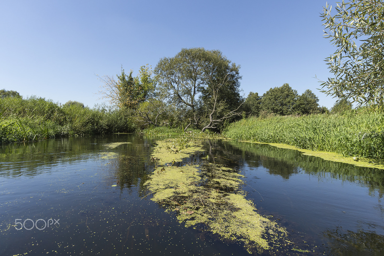 Canon EF-S 10-22mm F3.5-4.5 USM sample photo. River wkra, poland photography