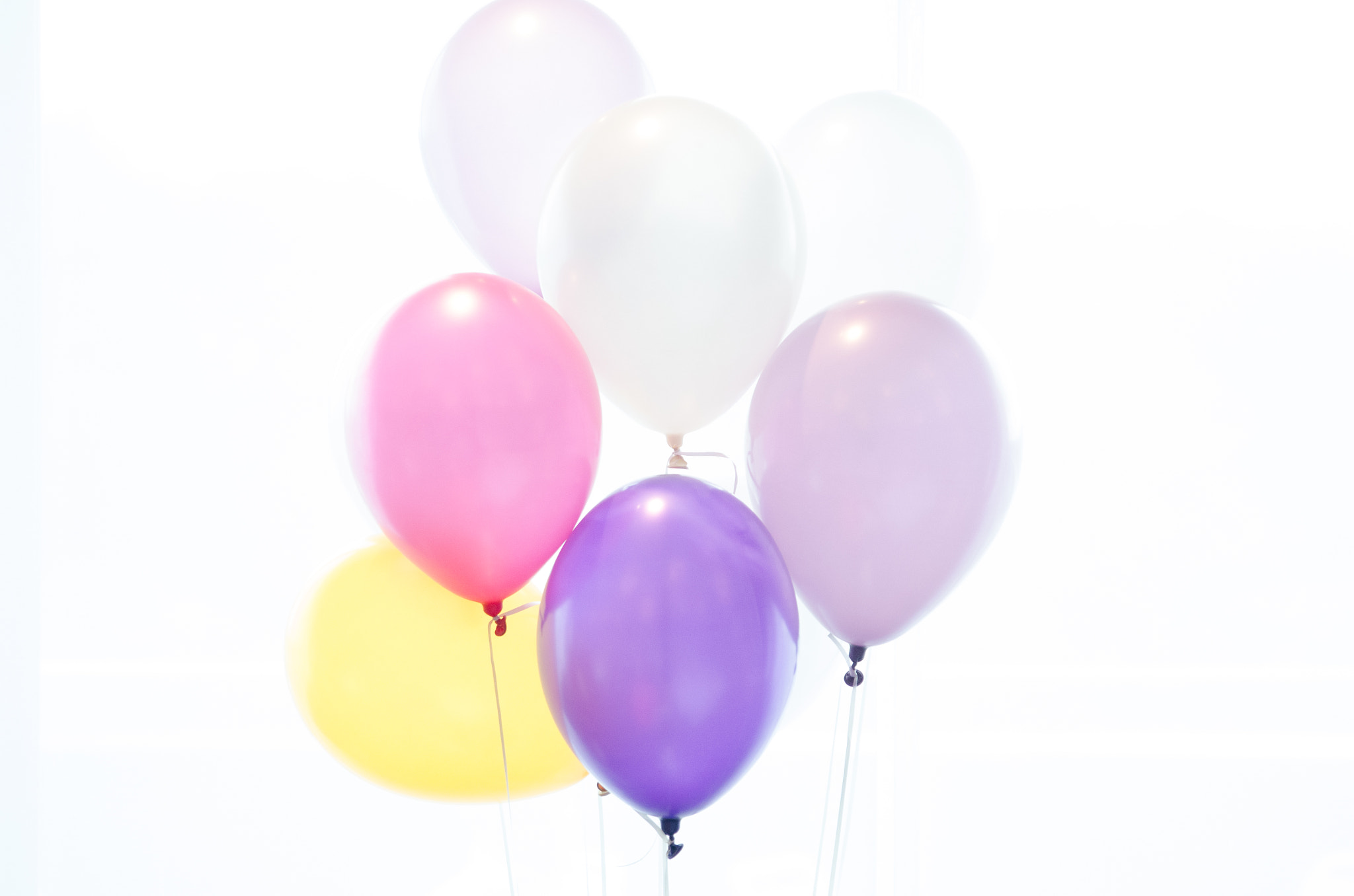 Sigma 24-70mm F2.8 EX DG HSM sample photo. Balloons photography