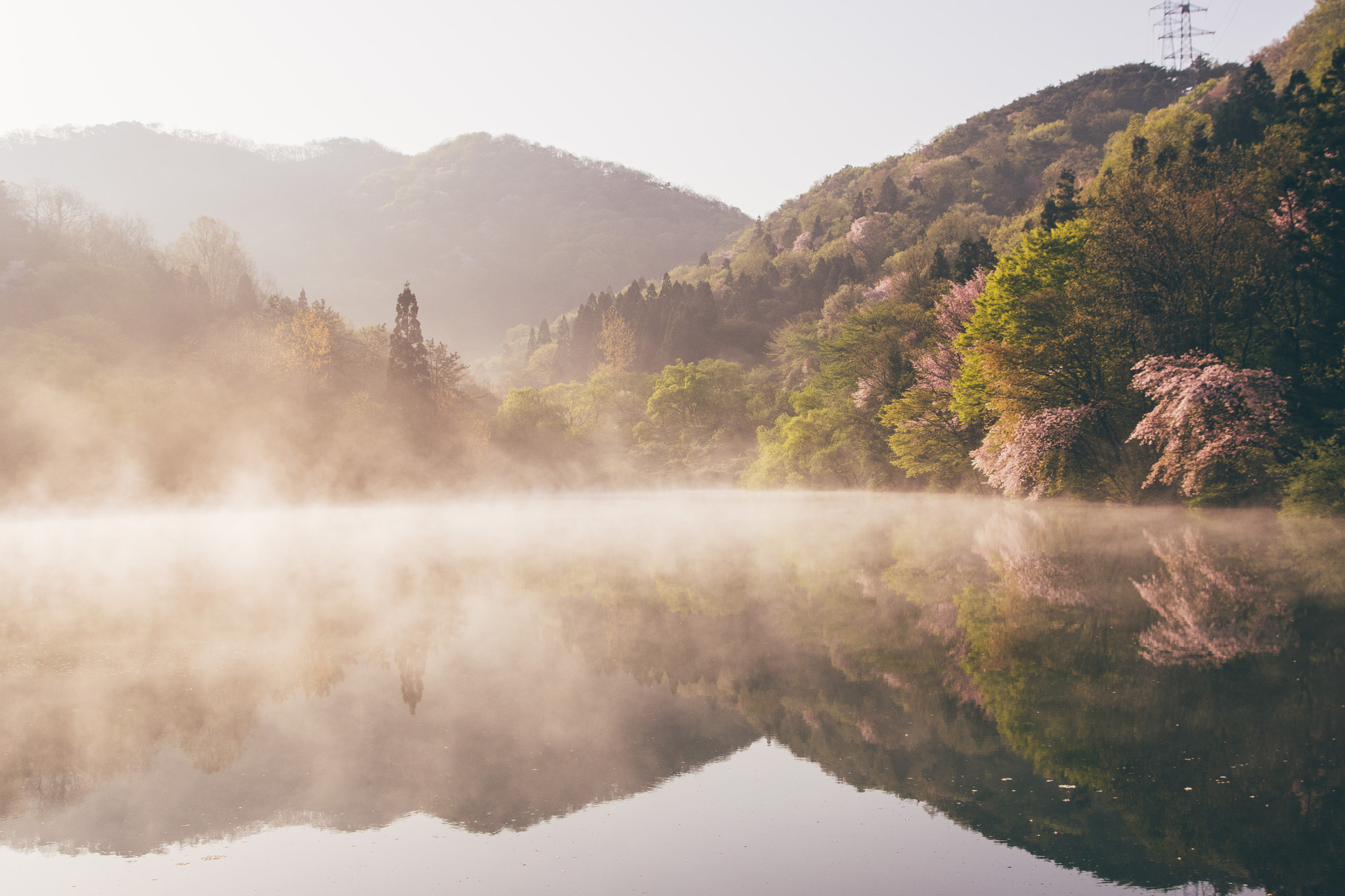 Pentax K-3 II sample photo. A water fog photography