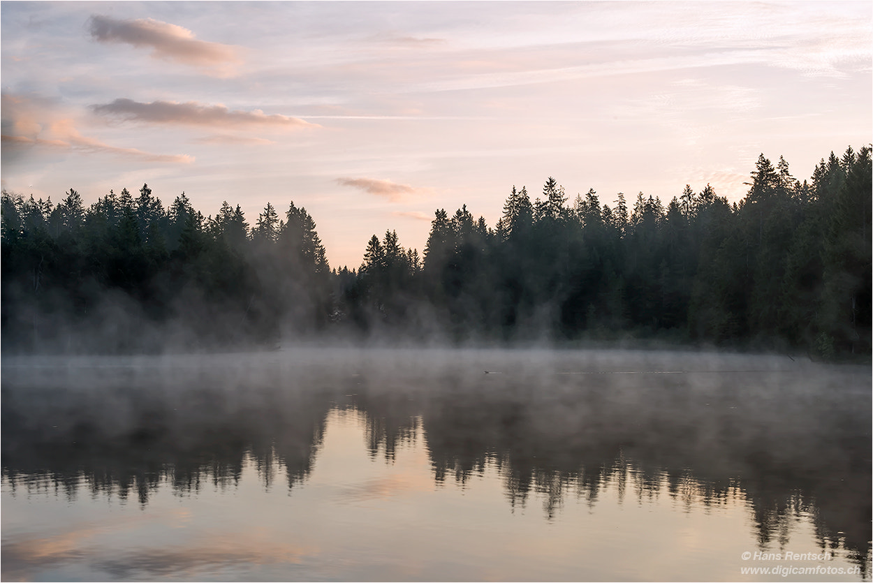 Nikon D810 + Nikon AF-S Nikkor 58mm F1.4G sample photo. Etang de la gruÈre photography