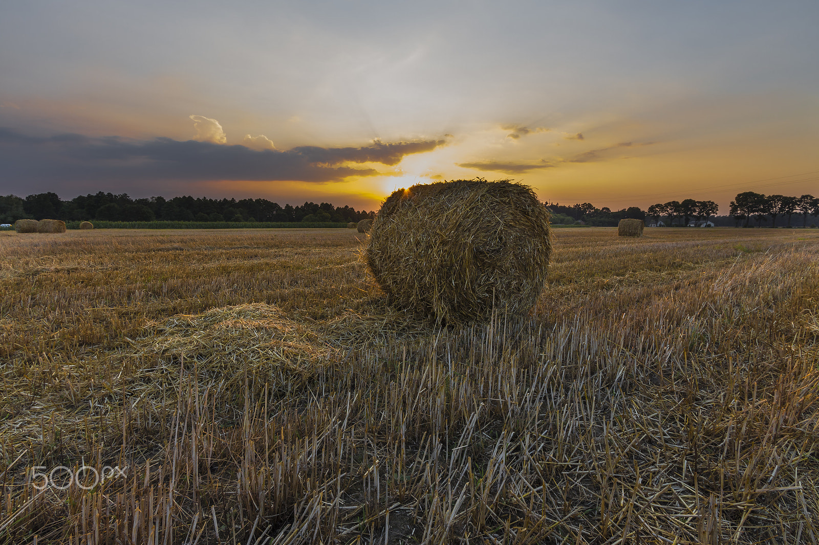 Canon EF-S 10-22mm F3.5-4.5 USM sample photo. Sheaves of hay in the glow of the sunset photography