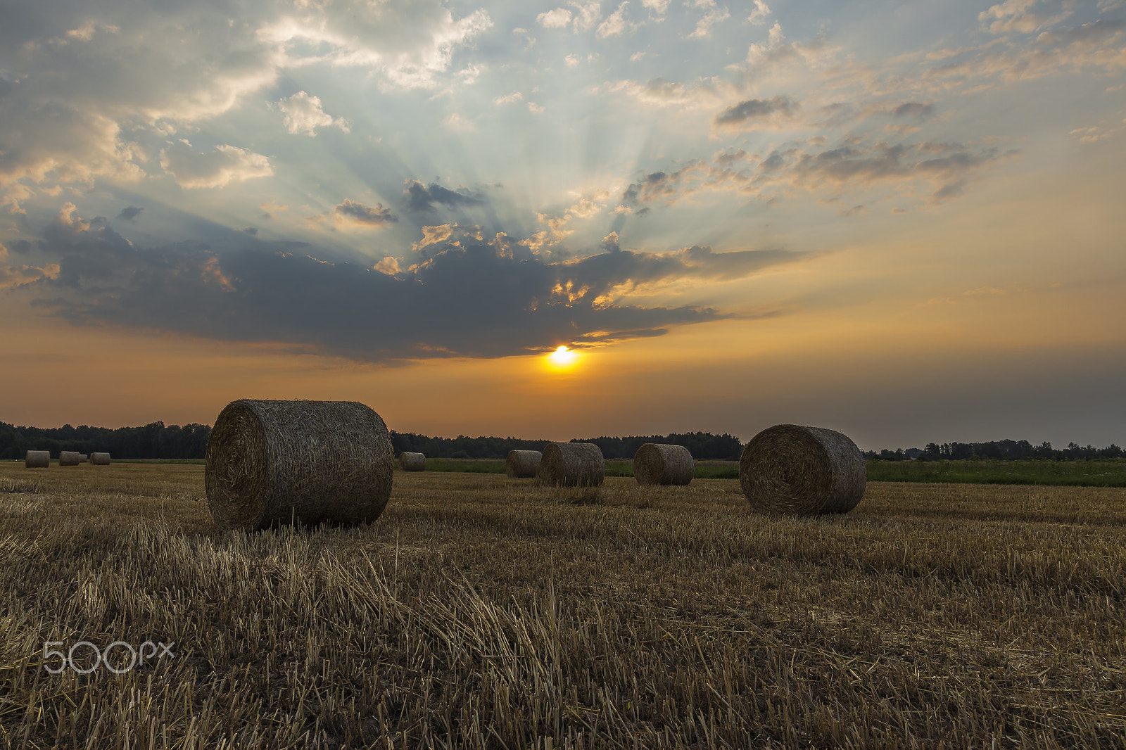 Canon EF-S 10-22mm F3.5-4.5 USM sample photo. Sheaves of hay in the glow of the sunrise photography