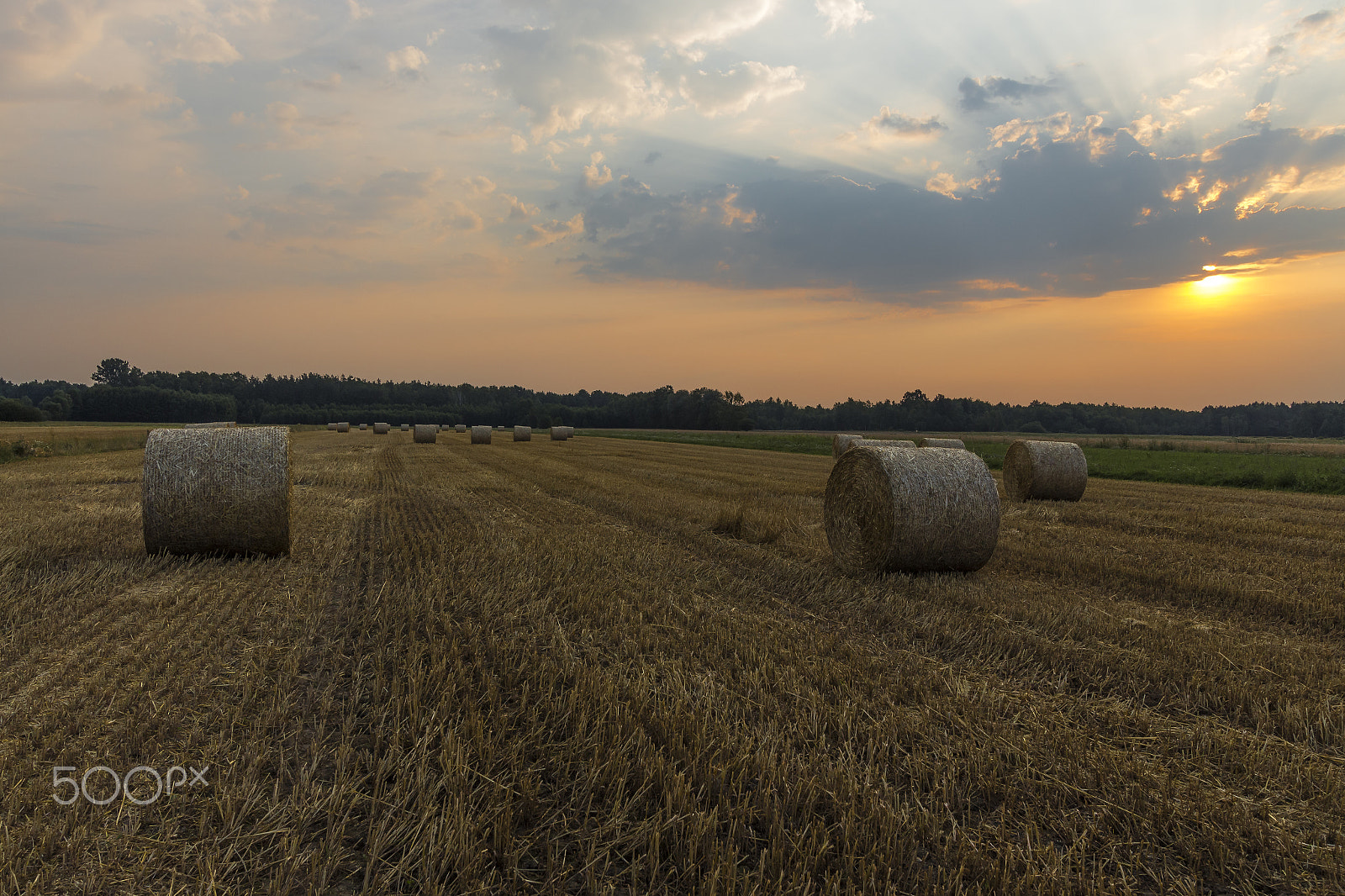 Canon EOS 650D (EOS Rebel T4i / EOS Kiss X6i) + Canon EF-S 10-22mm F3.5-4.5 USM sample photo. Sheaves of hay in the glow of the sunrise photography