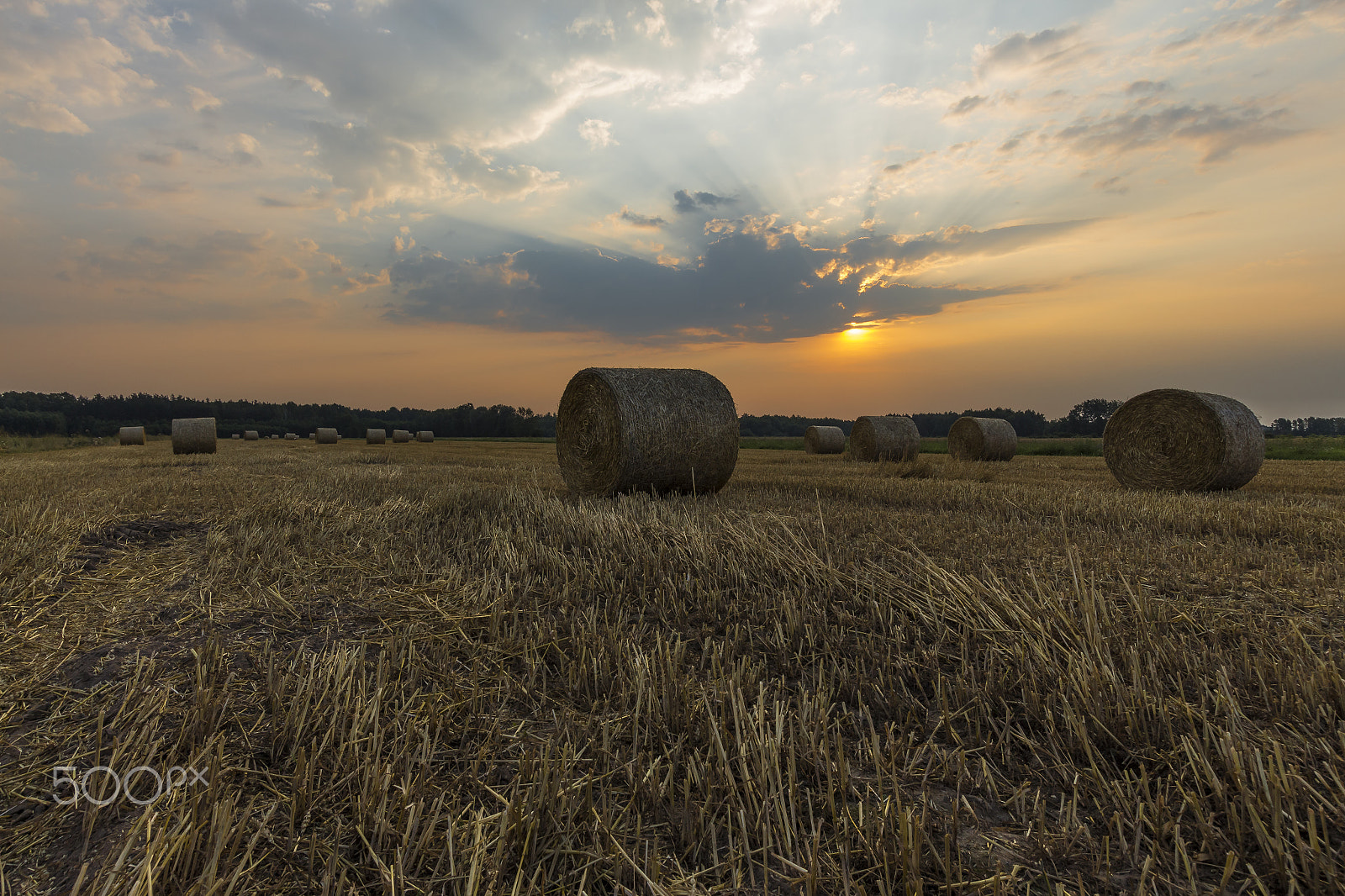 Canon EF-S 10-22mm F3.5-4.5 USM sample photo. Sheaves of hay in the glow of the sunrise photography