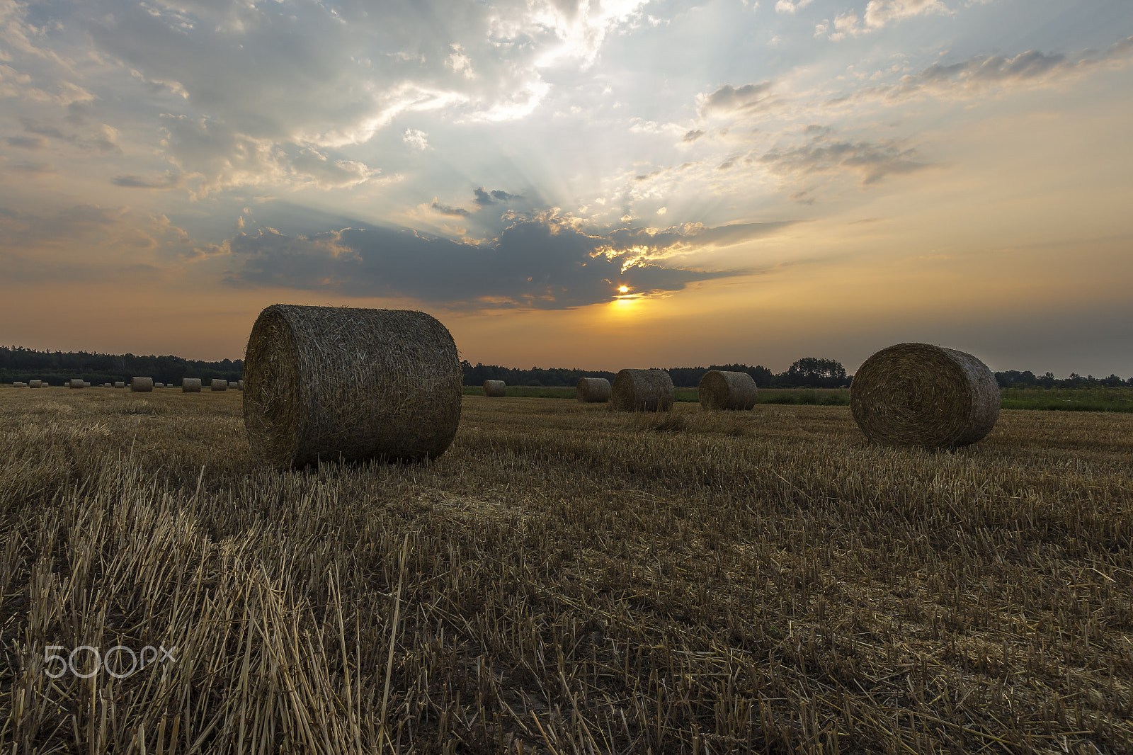 Canon EF-S 10-22mm F3.5-4.5 USM sample photo. Sheaves of hay in the glow of the sunrise photography
