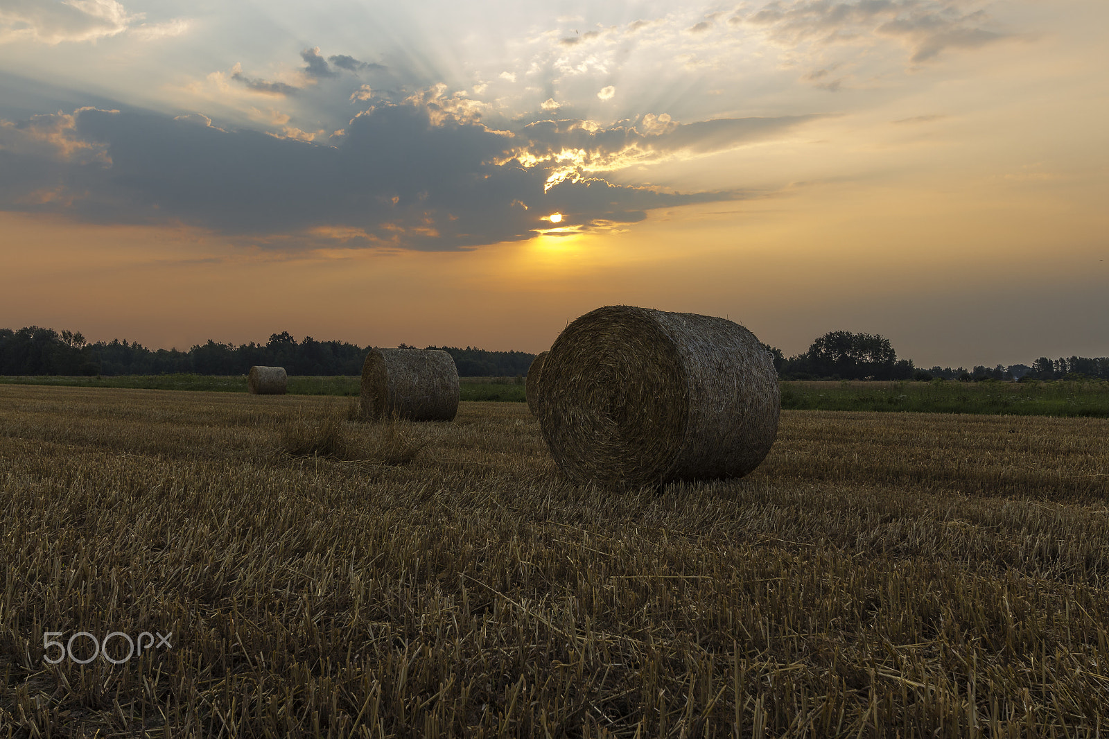 Canon EF-S 10-22mm F3.5-4.5 USM sample photo. Sheaves of hay in the glow of the sunrise photography