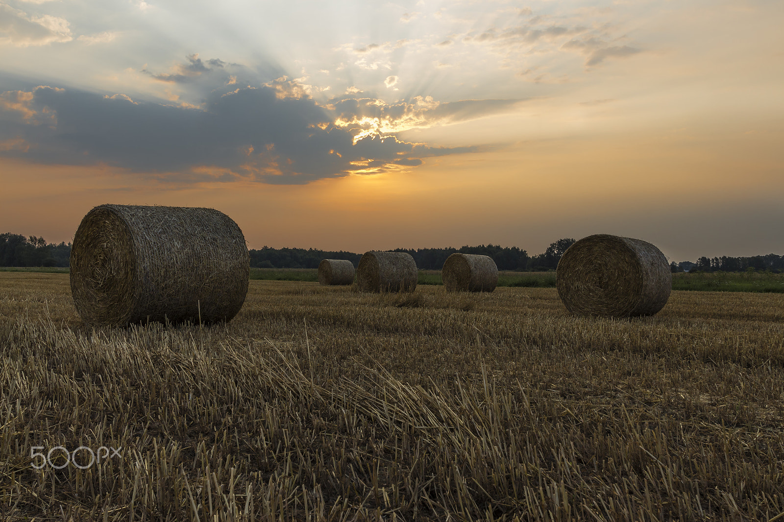 Canon EF-S 10-22mm F3.5-4.5 USM sample photo. Sheaves of hay in the glow of the sunrise photography