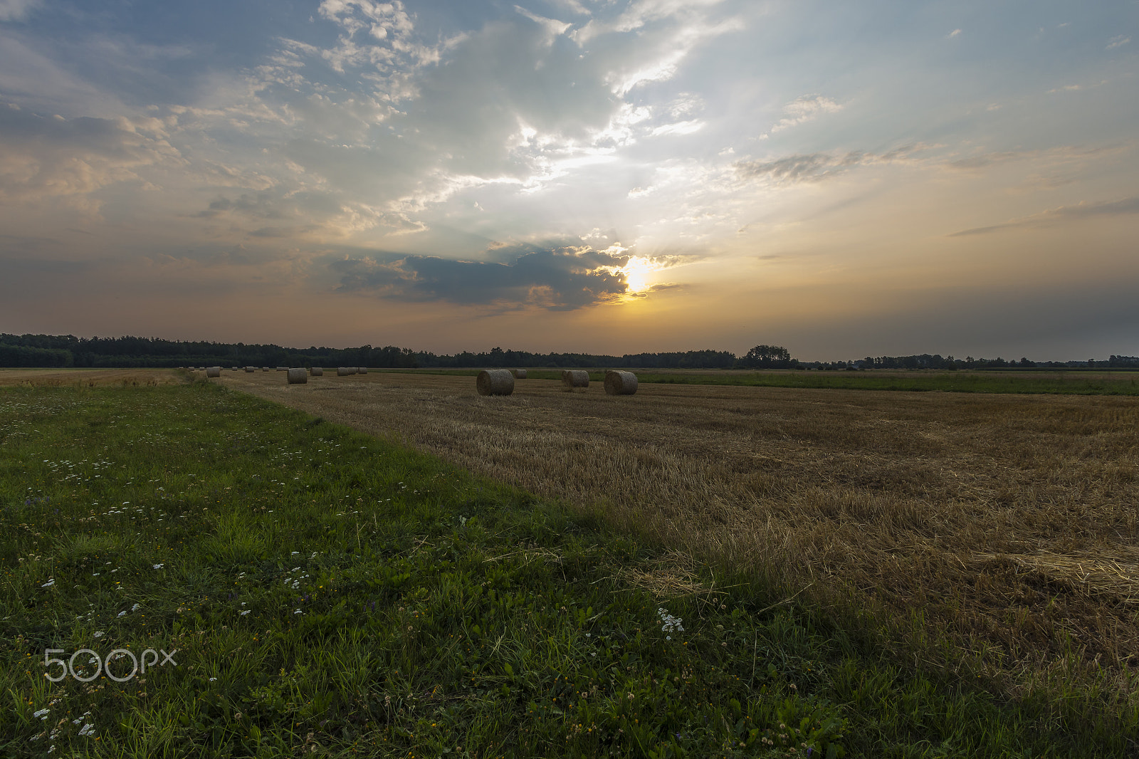 Canon EOS 650D (EOS Rebel T4i / EOS Kiss X6i) sample photo. Sheaves of hay in the glow of the sunrise photography
