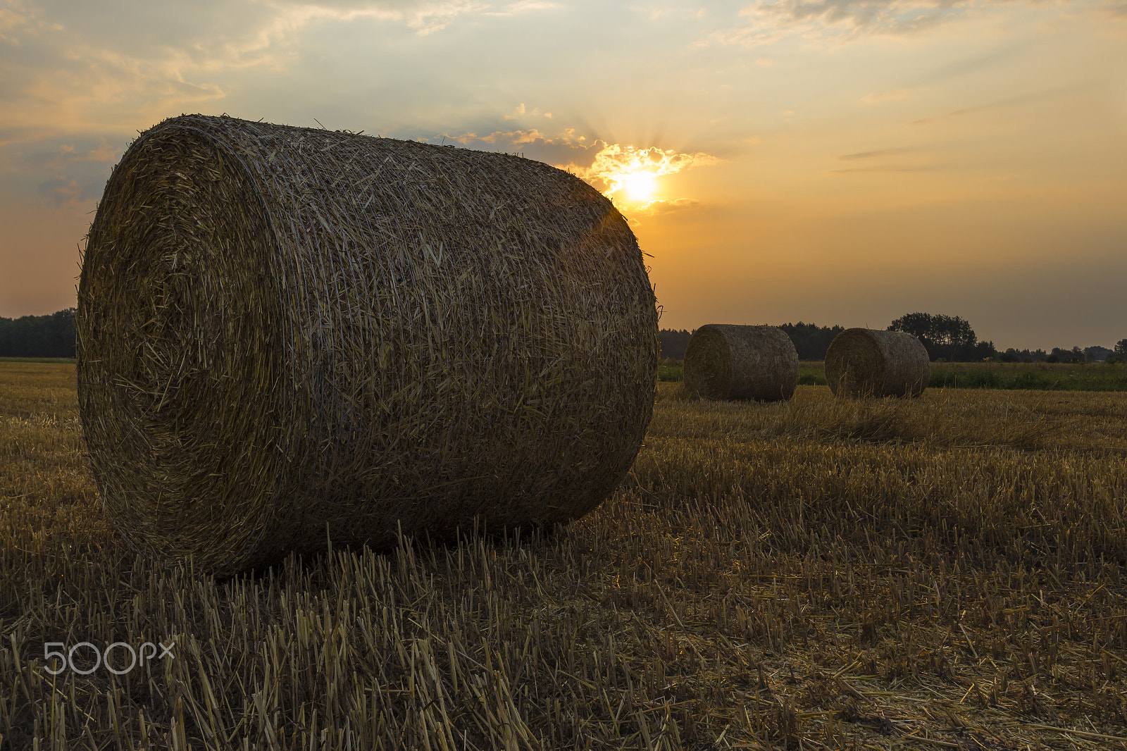 Canon EF-S 10-22mm F3.5-4.5 USM sample photo. Sheaves of hay in the glow of the sunrise photography