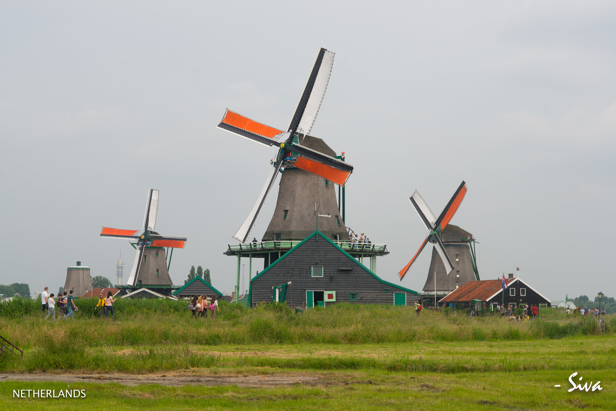 Nikon D600 sample photo. Windmills photography