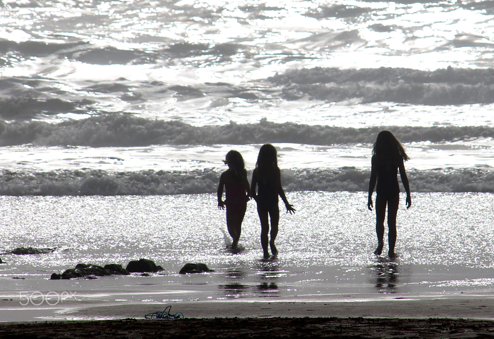Canon 28-300mm sample photo. Image photography