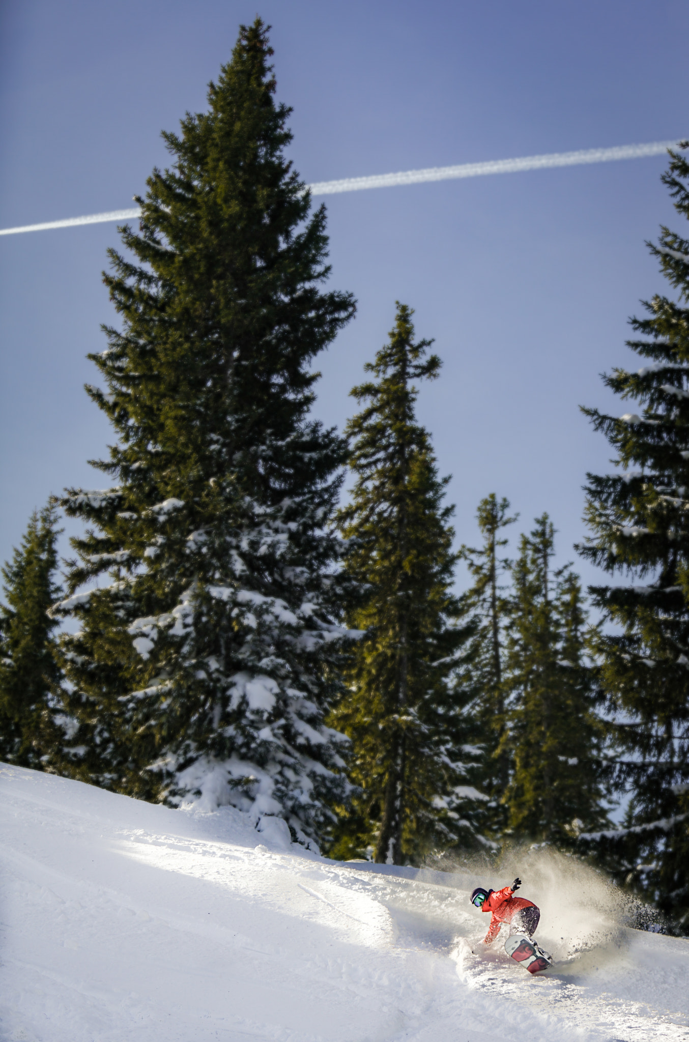 Sony a7R II + Sony 70-200mm F2.8 G SSM II sample photo. Snowboarding in the trees photography