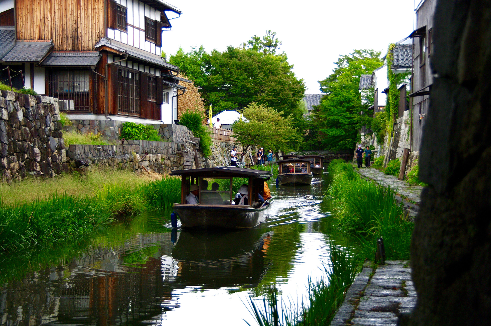 Pentax K20D sample photo