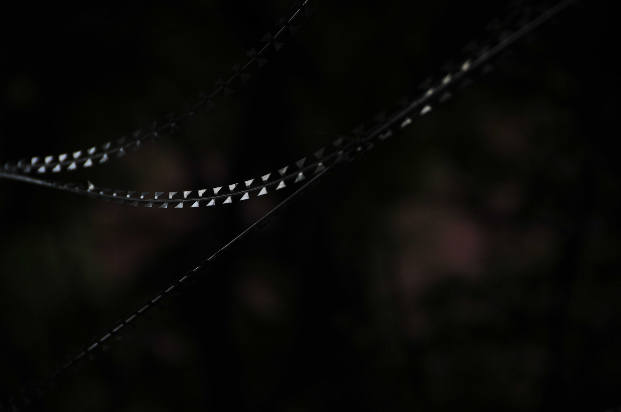 Nikon D3 sample photo. .. photography