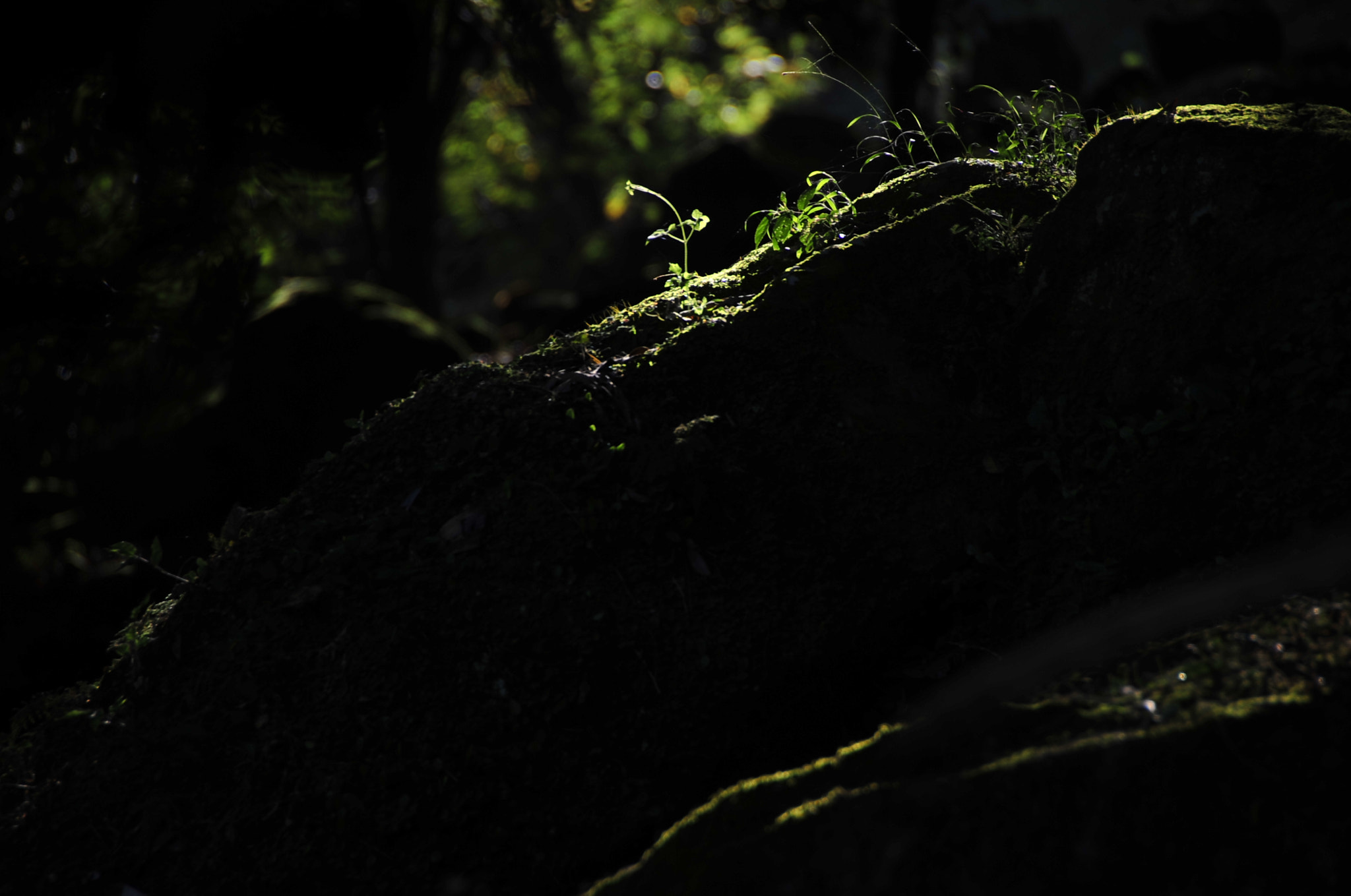 Nikon D3 sample photo. .. photography
