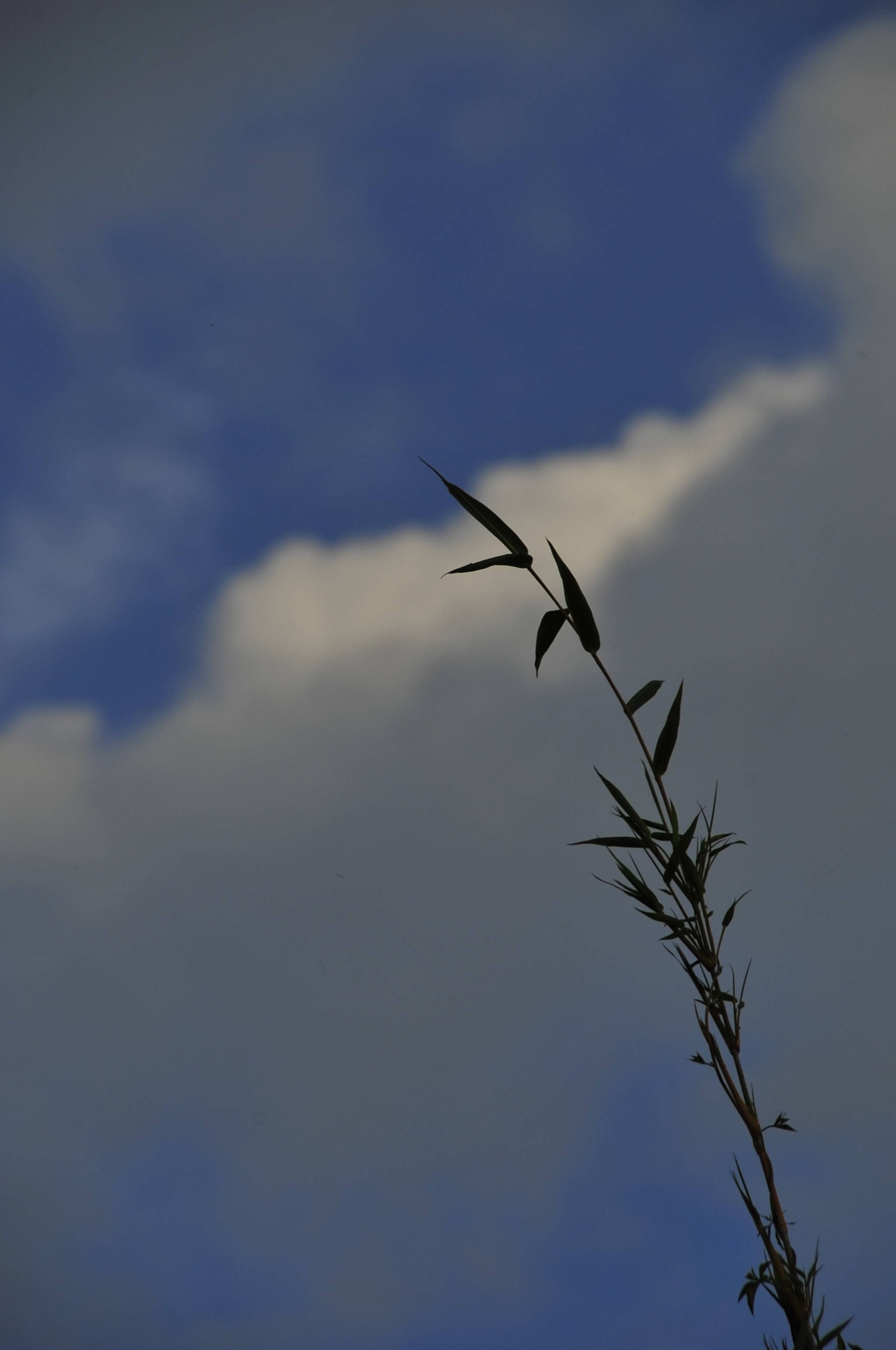 Nikon D3 sample photo. .. photography