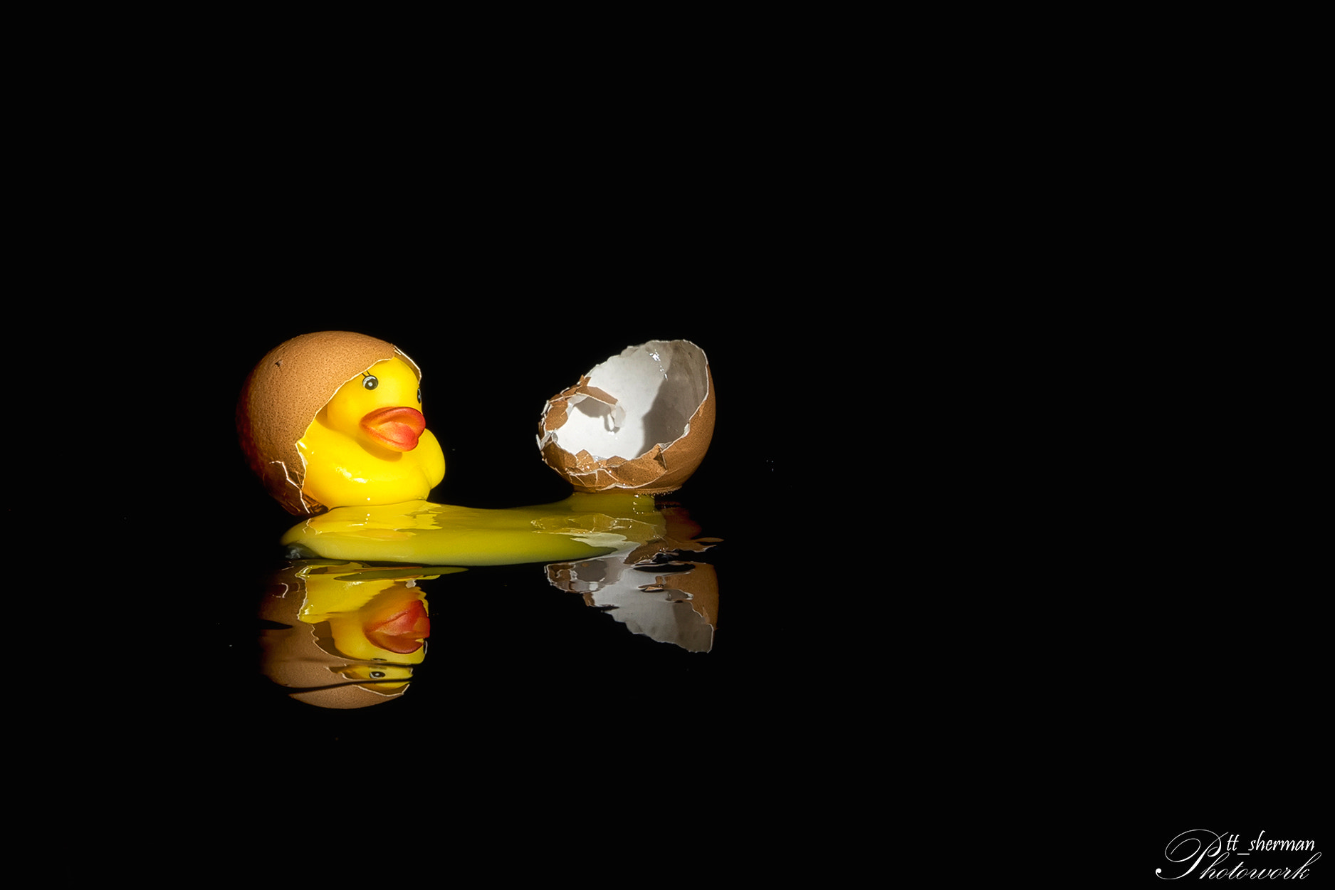 Minolta/Sony AF 70-200mm F2.8 G sample photo. D duck photography