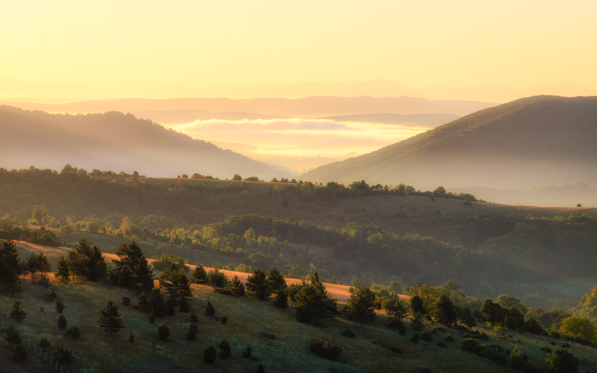 AF Zoom-Nikkor 75-300mm f/4.5-5.6 sample photo. Misty sunrise photography