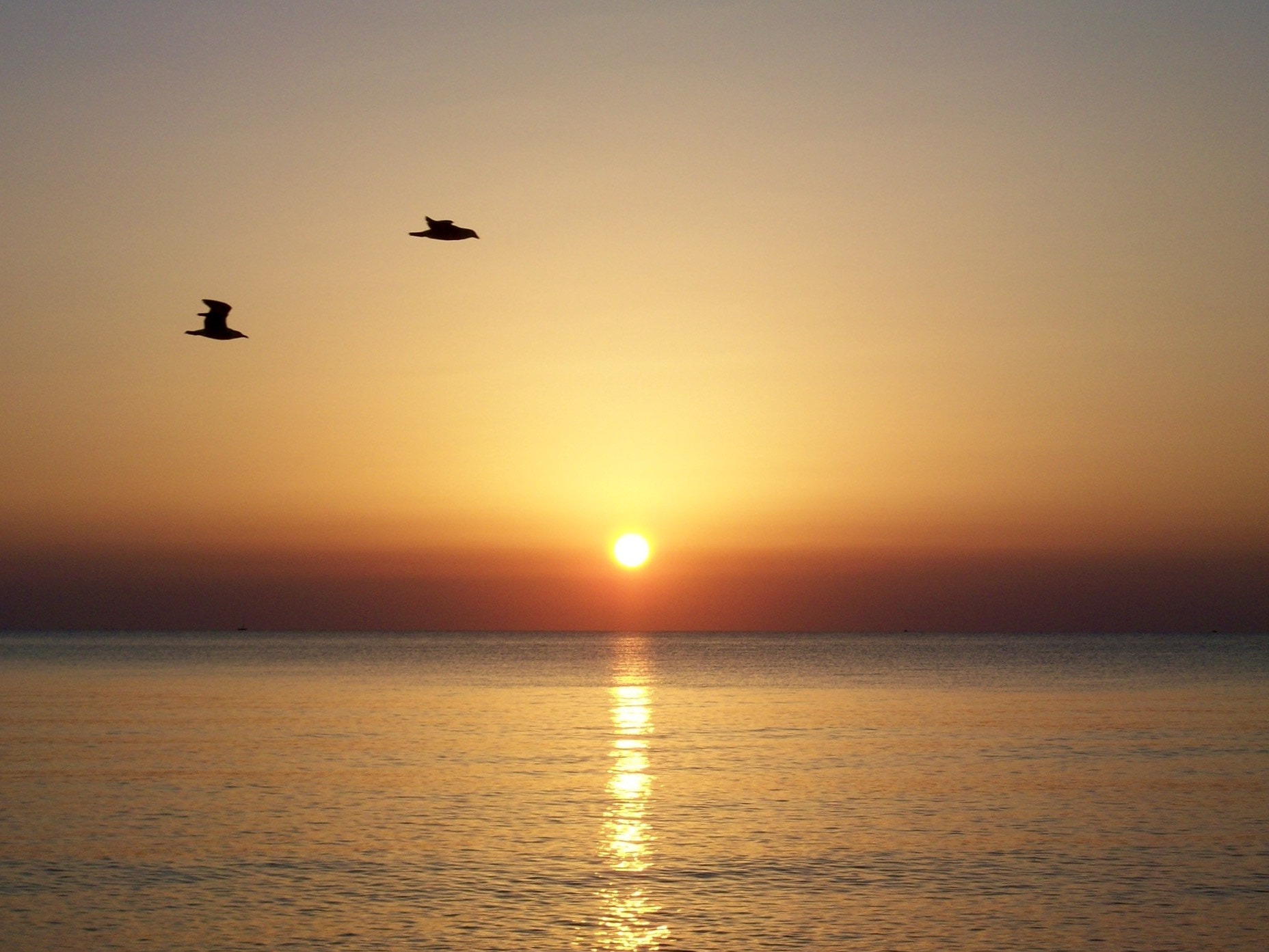 Kodak EASYSHARE M863 DIGITAL CAMERA sample photo. Italian sunset. photography