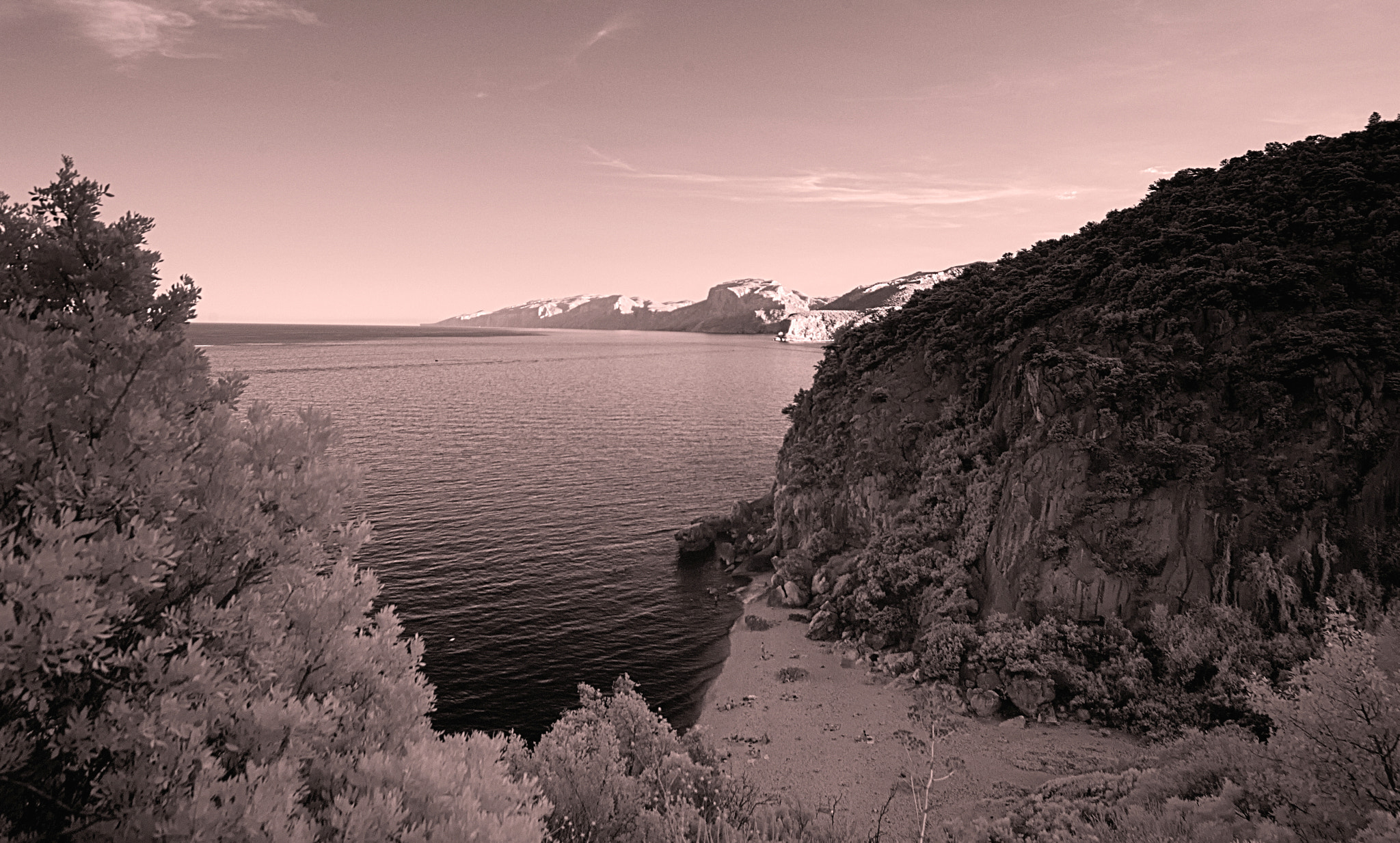 Nikon D80 sample photo. Cala fuili in ir light photography