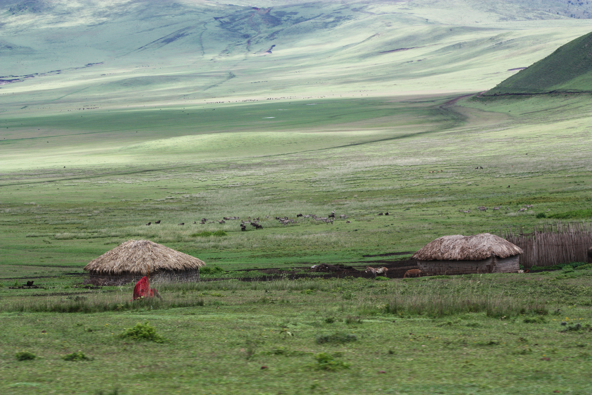 Canon EOS 450D (EOS Rebel XSi / EOS Kiss X2) sample photo. Ngorongoro photography