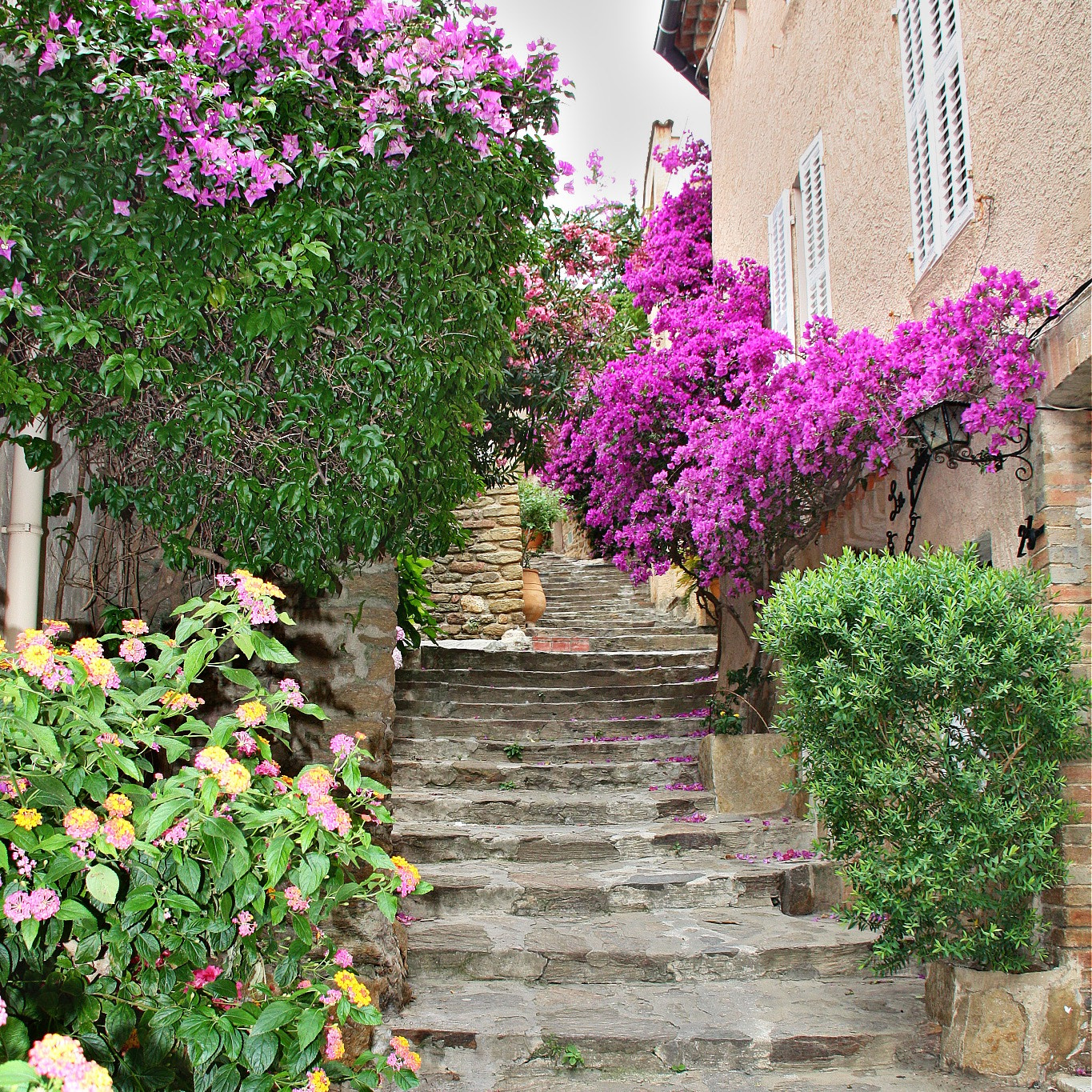 Canon EF-S 18-200mm F3.5-5.6 IS sample photo. Bormes les mimosas photography