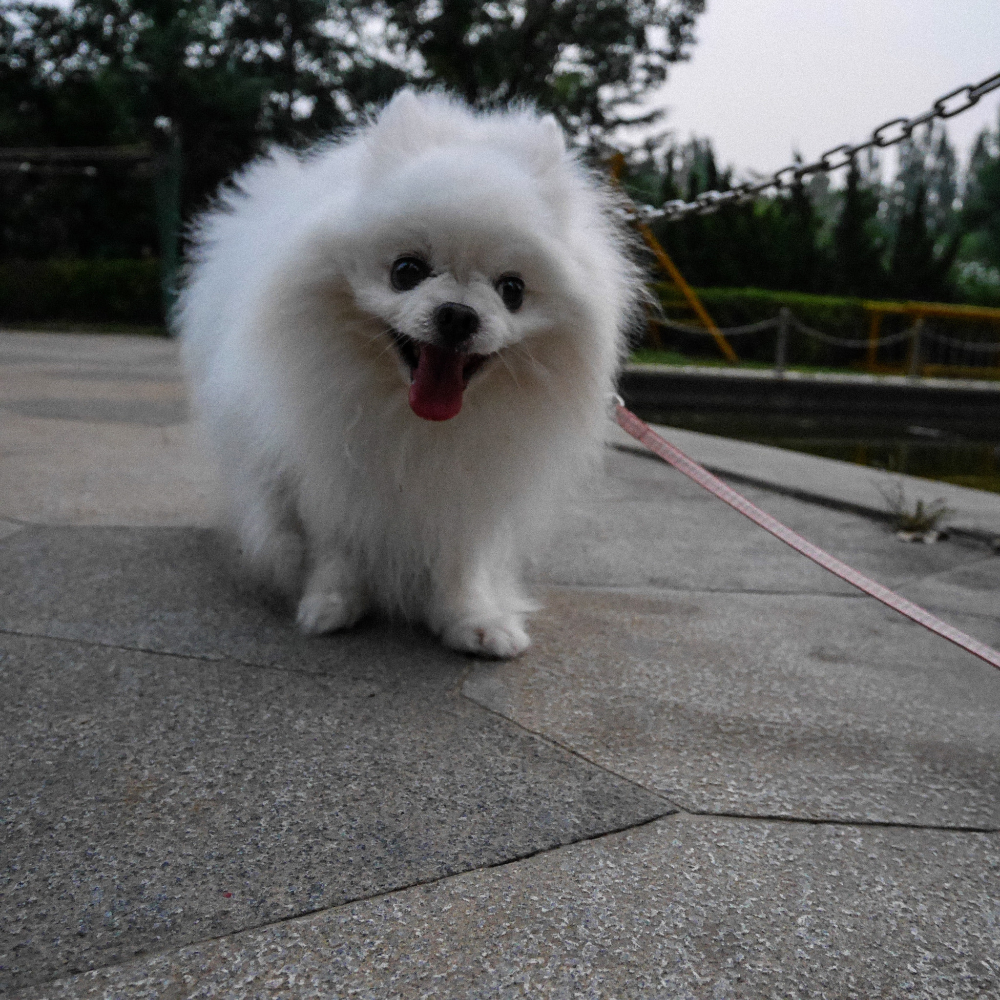 Panasonic Lumix DMC-GM5 sample photo. Smilin photography