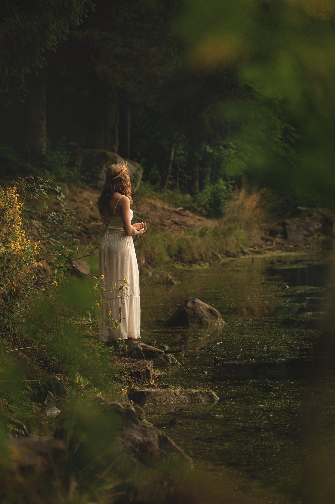Sigma 70-200mm F2.8 EX DG OS HSM sample photo. The fairy of the pond photography