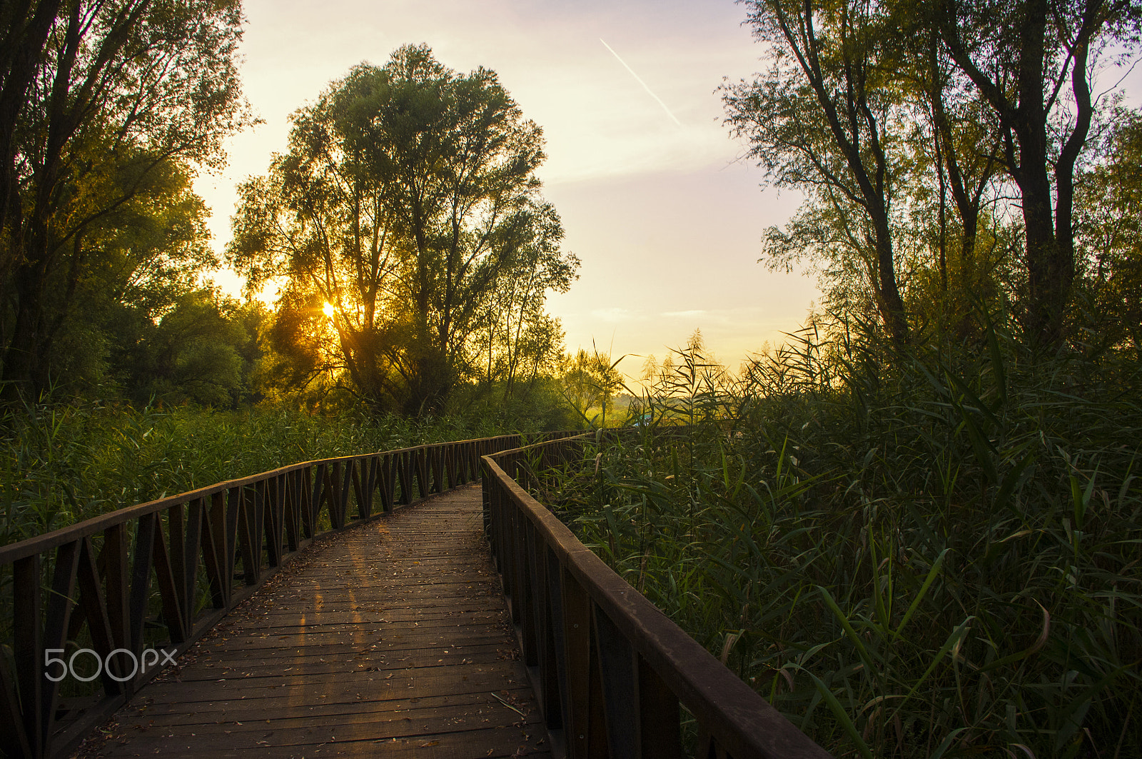 Pentax smc DA 18-55mm F3.5-5.6 AL WR sample photo. Boardwalk in kopački rit photography