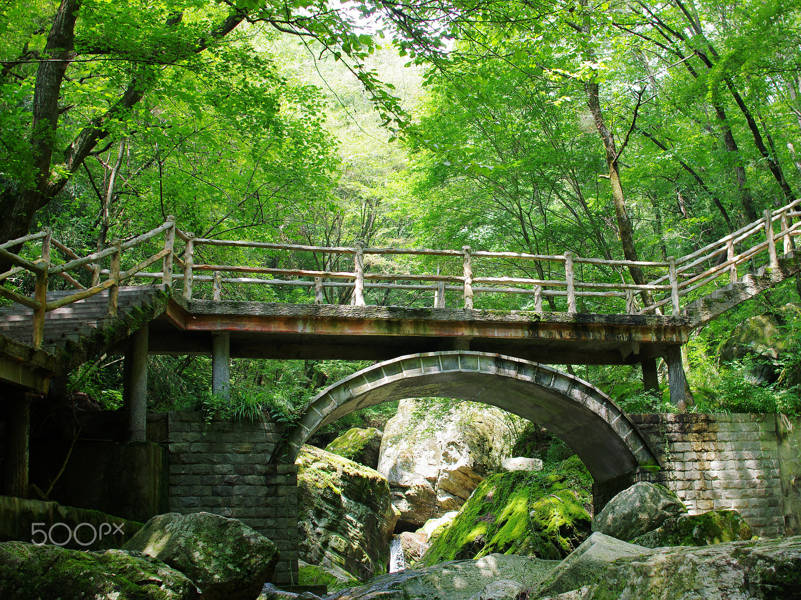 Pentax K-5 IIs + Sigma sample photo. Bridge photography