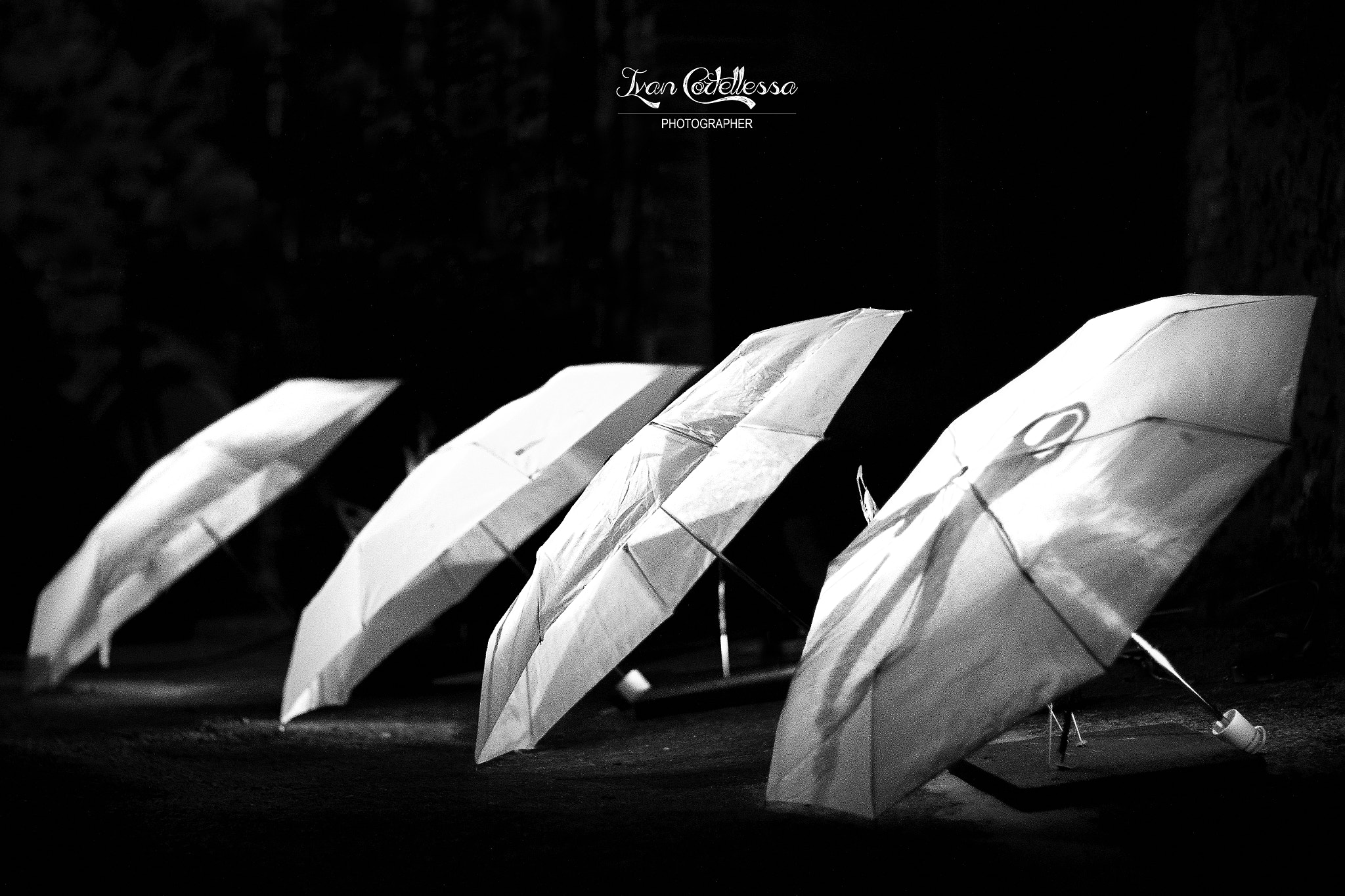 Canon EF 85mm F1.2L II USM sample photo. The dance, a universal language #2 photography