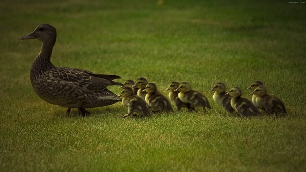 amazing nature photography