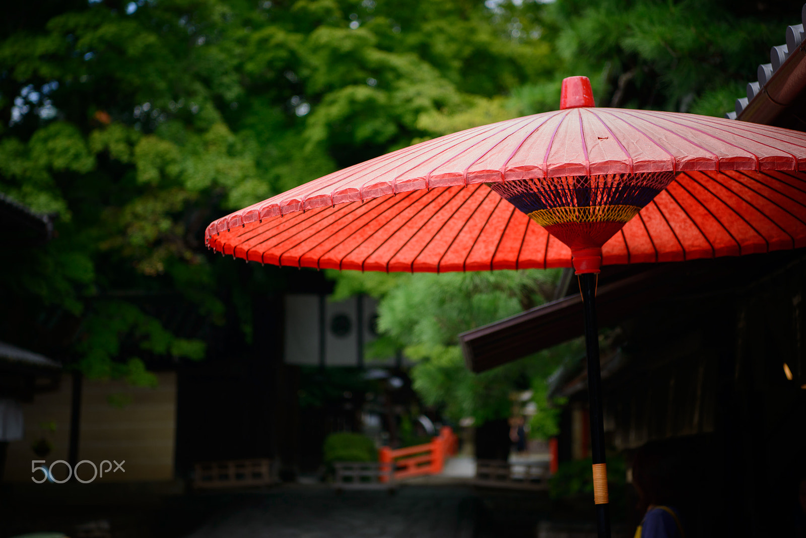 Nikon AF-S Nikkor 24-70mm F2.8E ED VR sample photo. Red umbrella photography