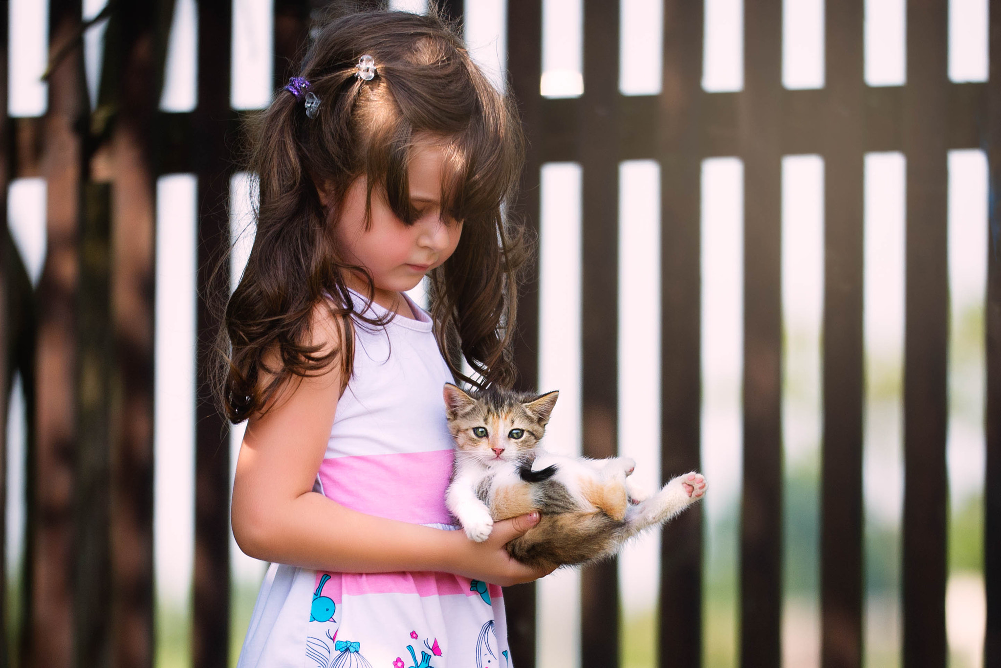 Sigma 150mm F2.8 EX DG OS Macro HSM sample photo. Little poser photography