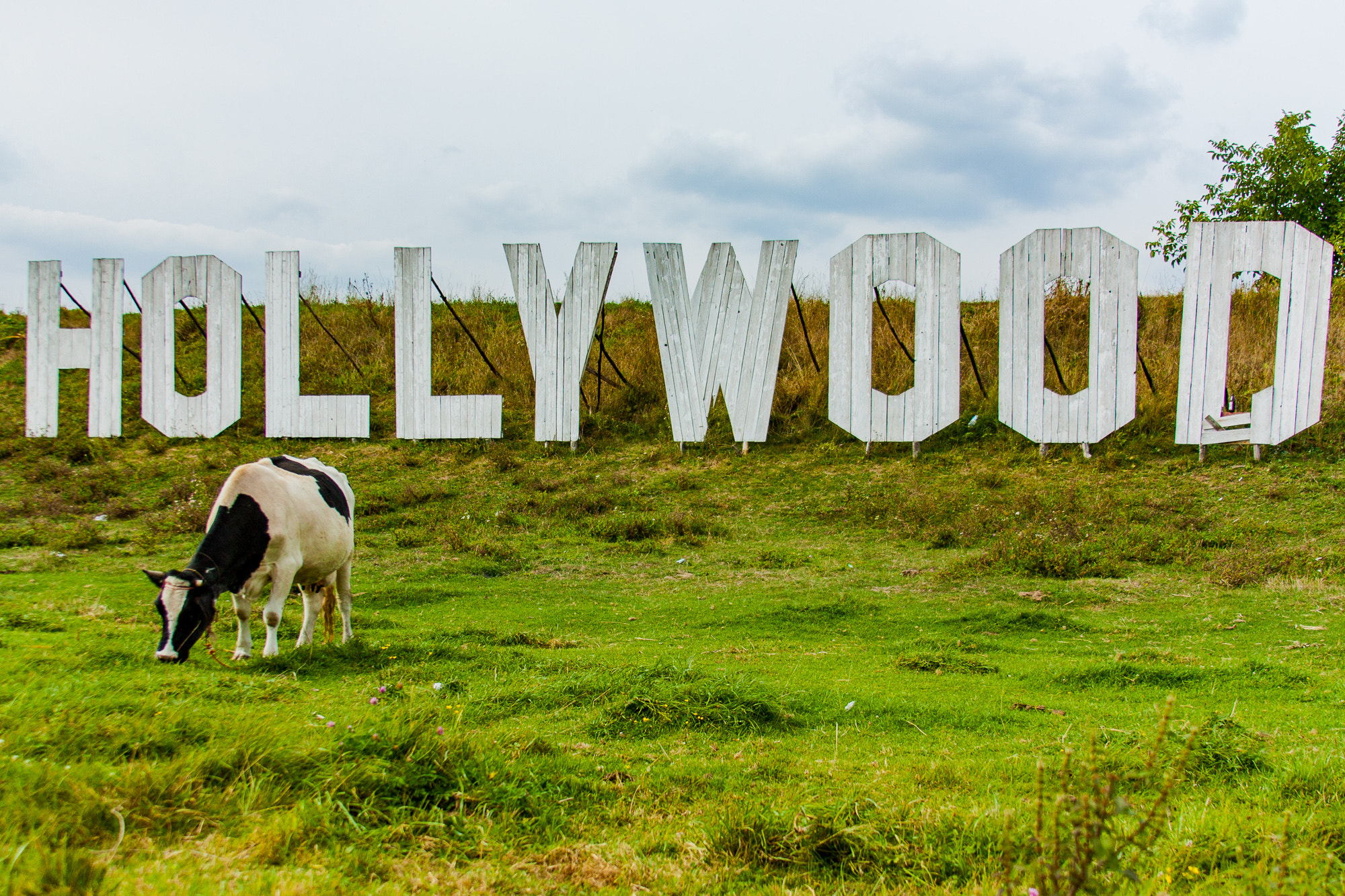 Canon EF 28-135mm F3.5-5.6 IS USM sample photo. Real hollywood photography
