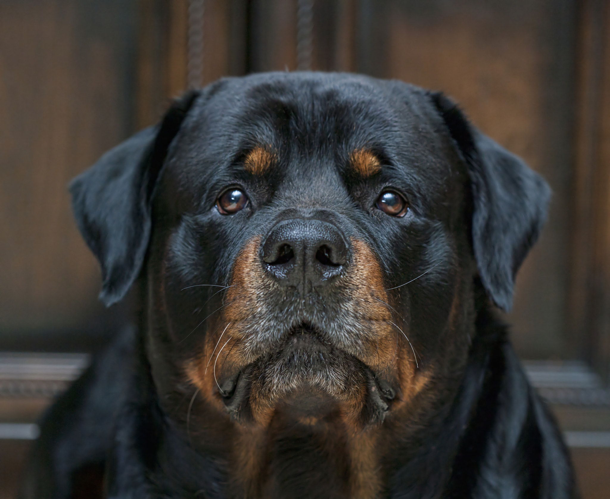 Canon EOS-1Ds Mark II sample photo. Arnold photography