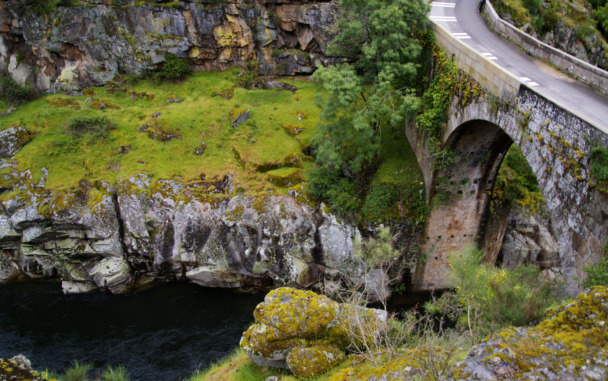 Nikon D800E sample photo. Looking down photography