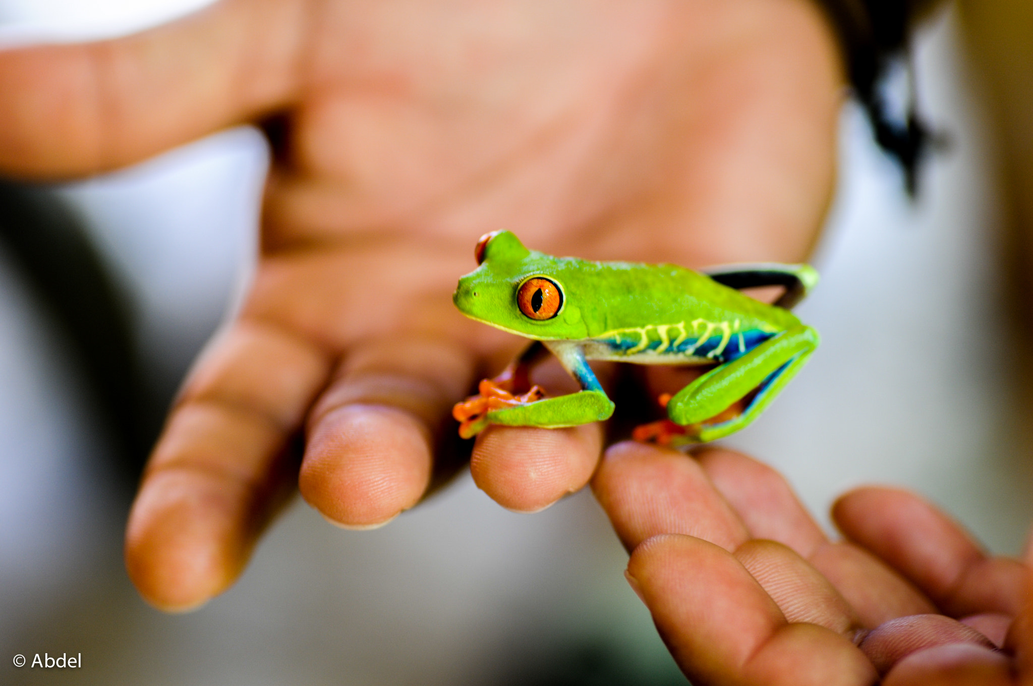 Nikon D300 sample photo. Humains have borring colors photography