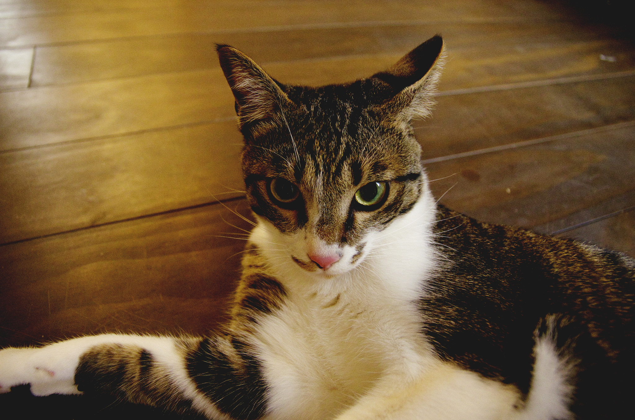 Pentax K-5 II sample photo. Suddenly photography