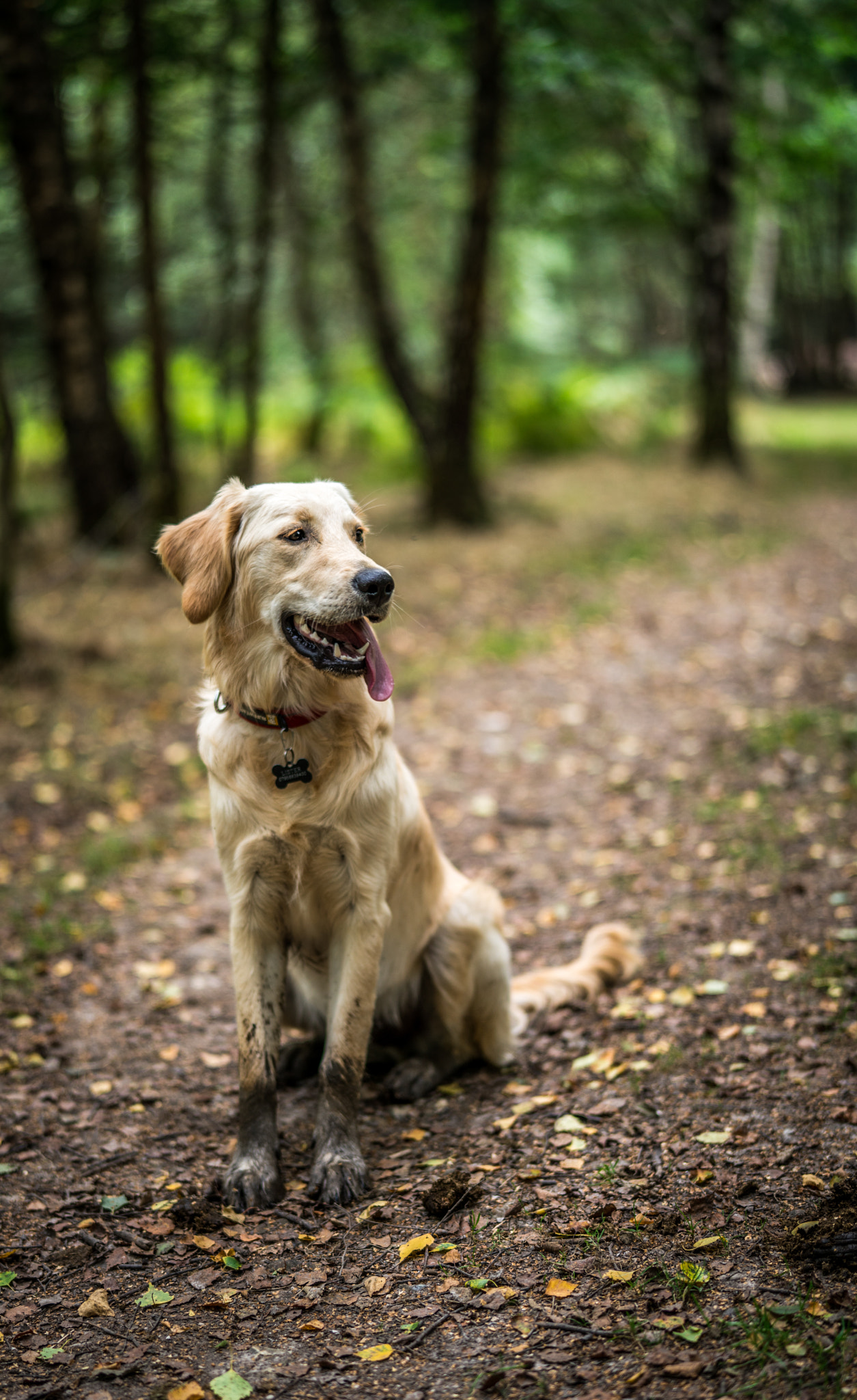 Sony a7R II + Sony Planar T* FE 50mm F1.4 ZA sample photo