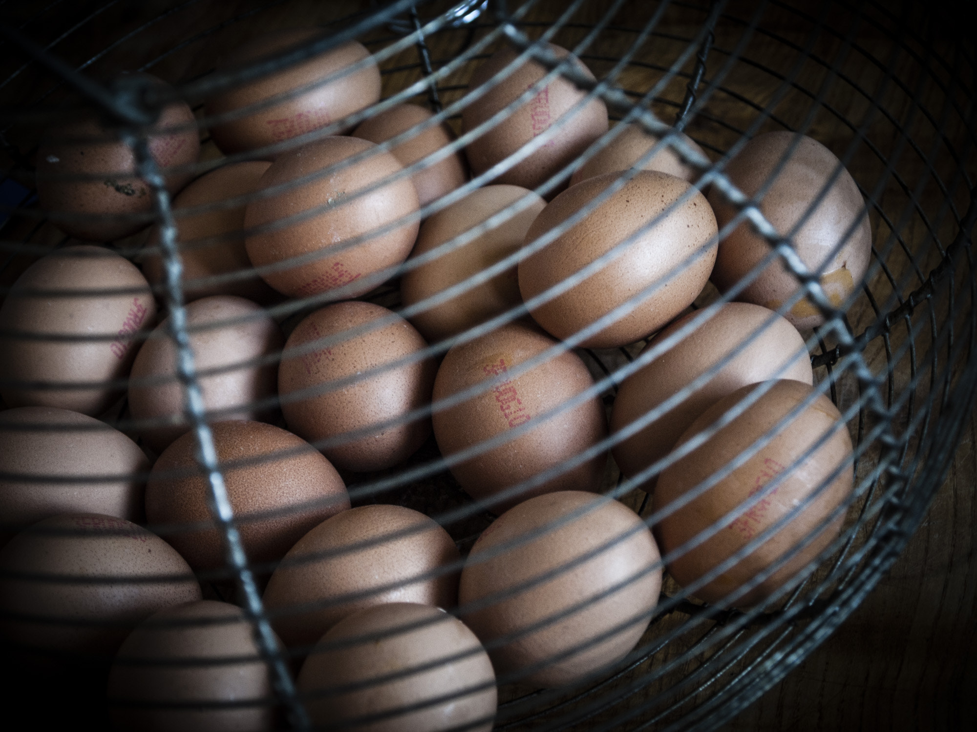 Olympus PEN E-P1 sample photo. Eggs-265120.jpg photography