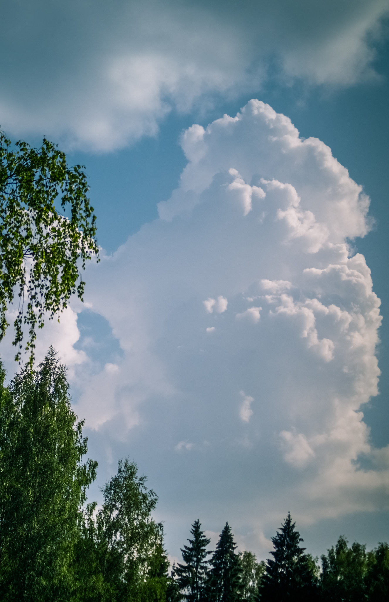 Sony SLT-A58 + Tamron AF 55-200mm F4-5.6 Di II LD Macro sample photo. Forest clouds photography