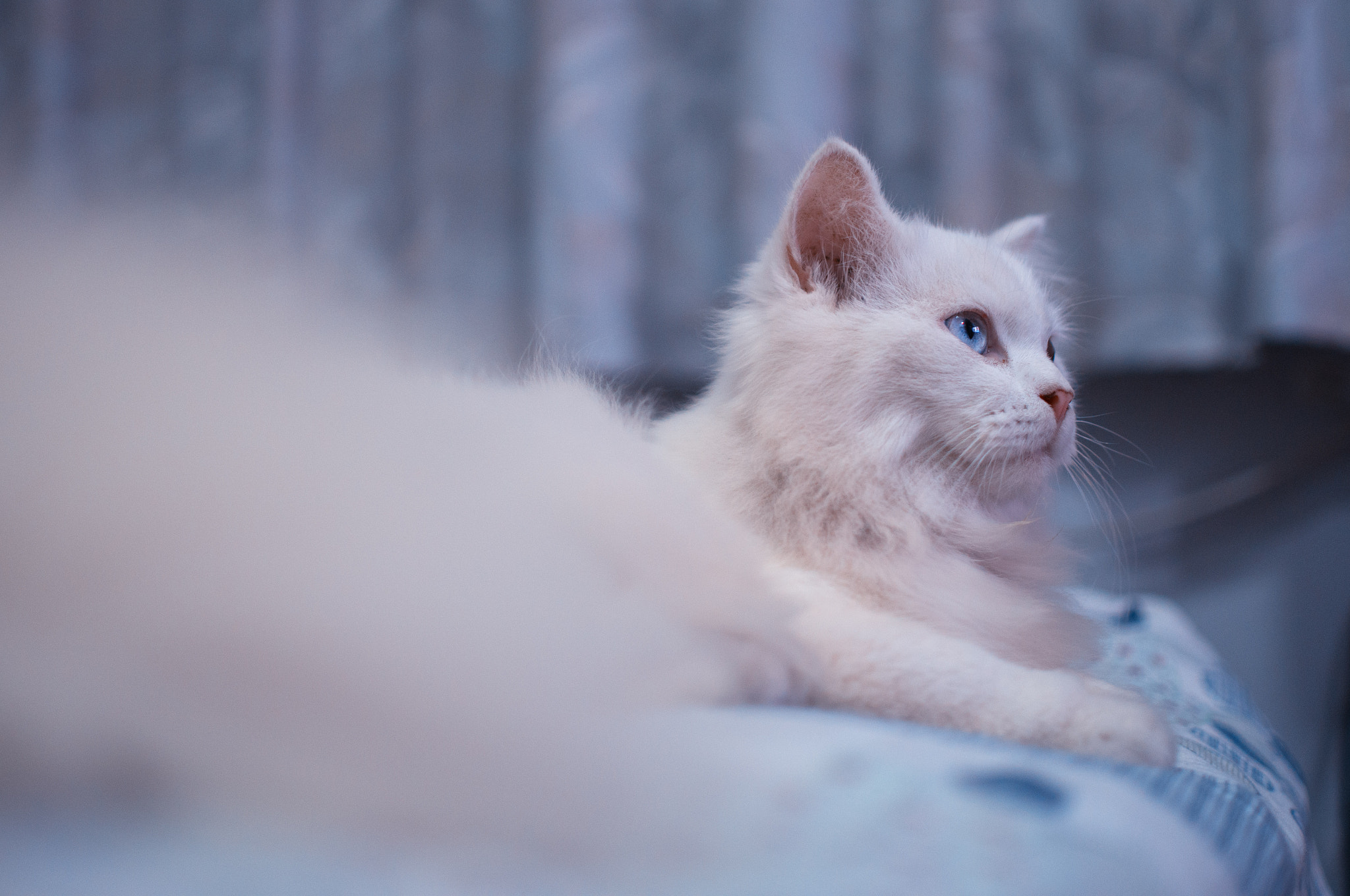 Nikon D800E sample photo. Wondering photography