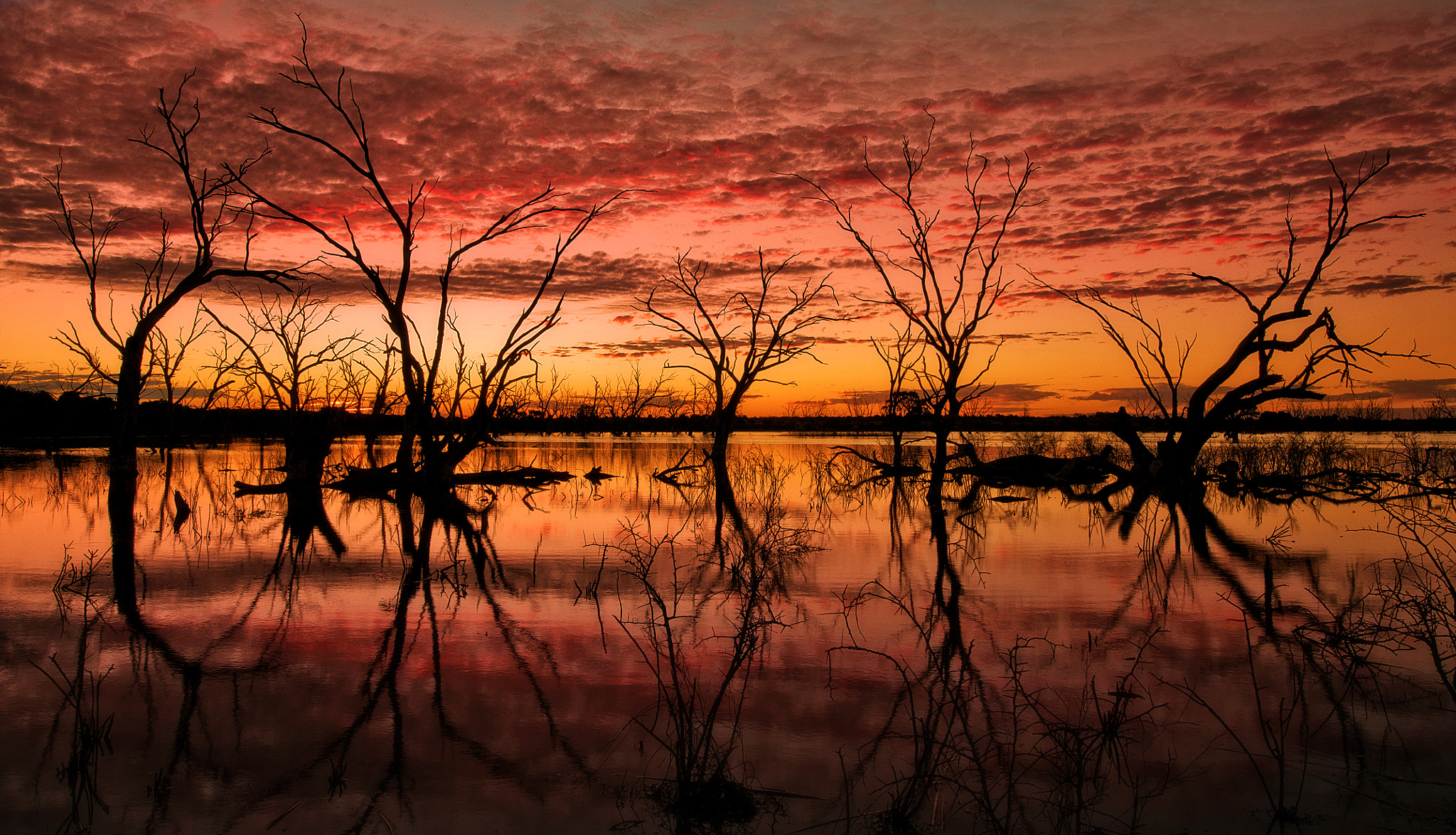 Nikon D300S sample photo. Reflection photography