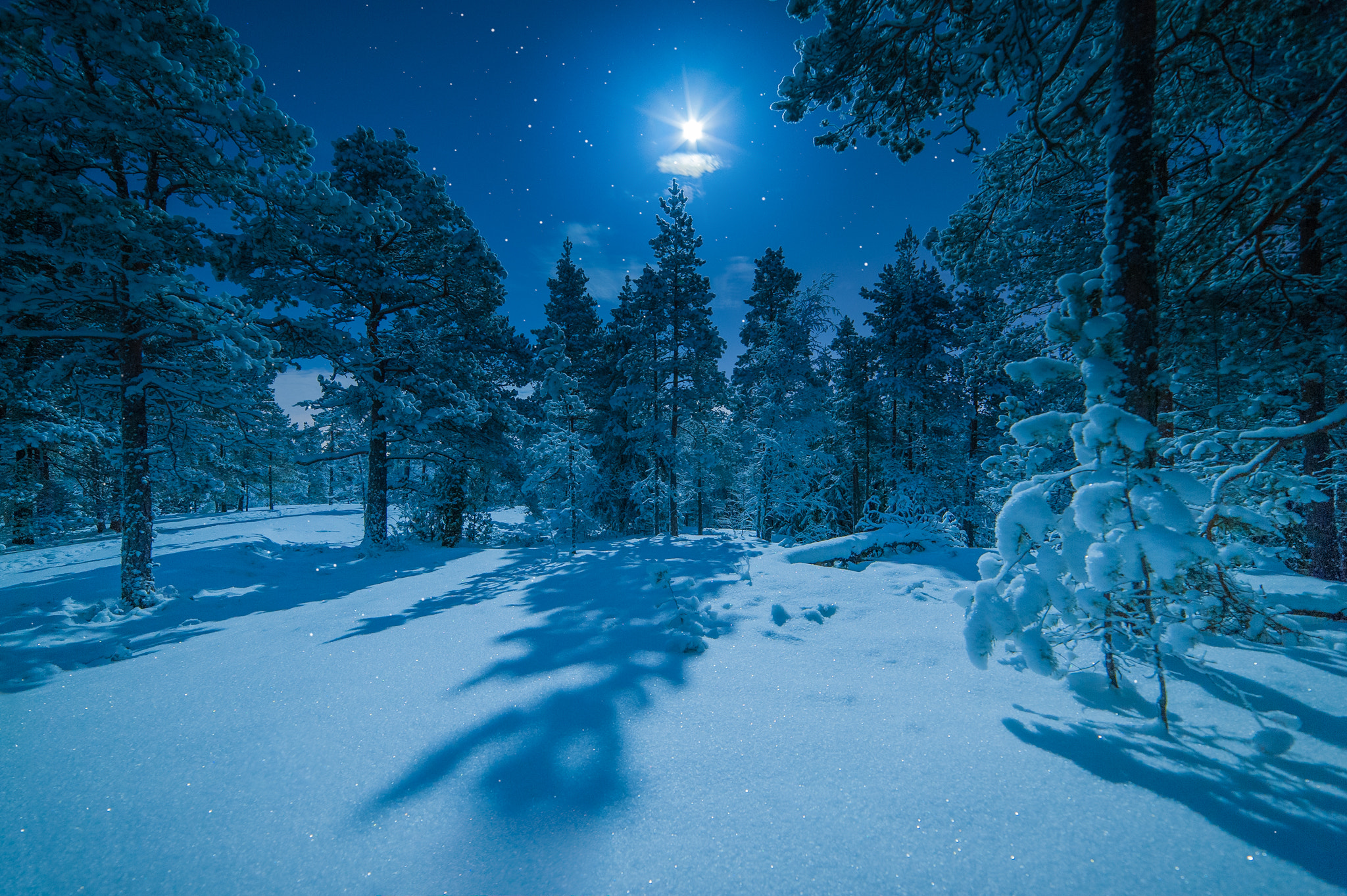 Nikon D3 sample photo. Stars in the night photography