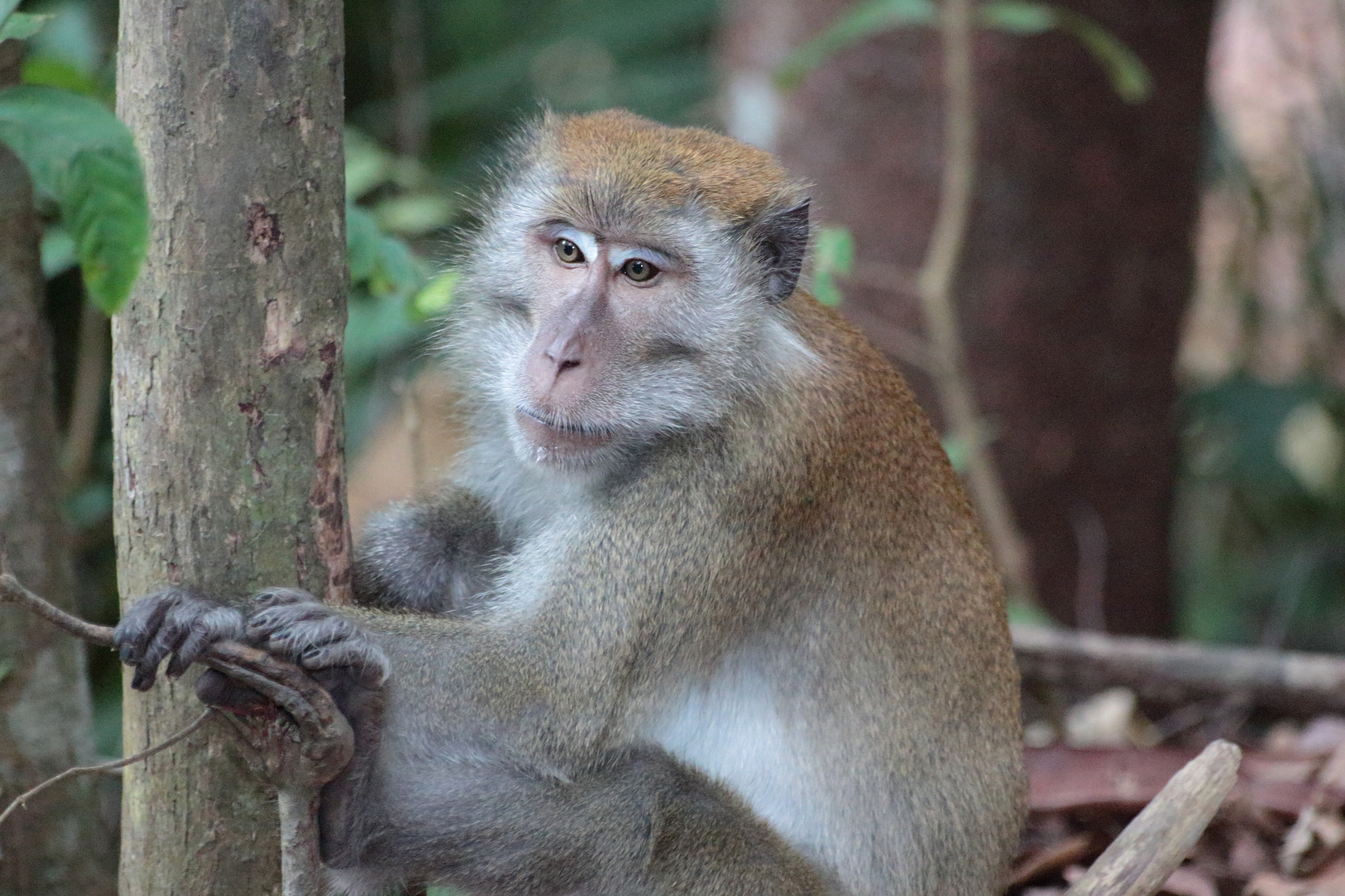Canon EOS 700D (EOS Rebel T5i / EOS Kiss X7i) sample photo. Img photography