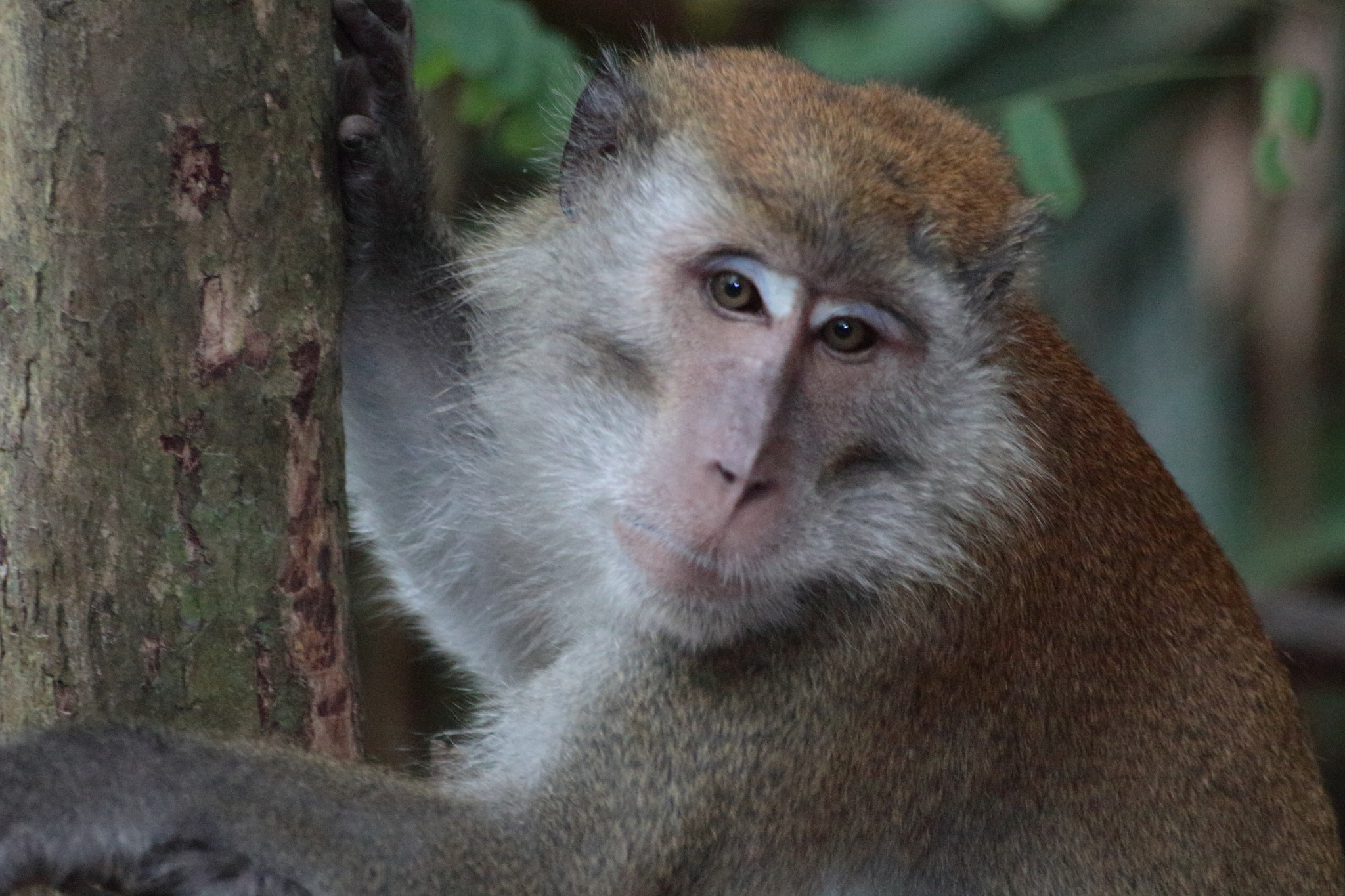 Canon EOS 700D (EOS Rebel T5i / EOS Kiss X7i) sample photo. Img photography
