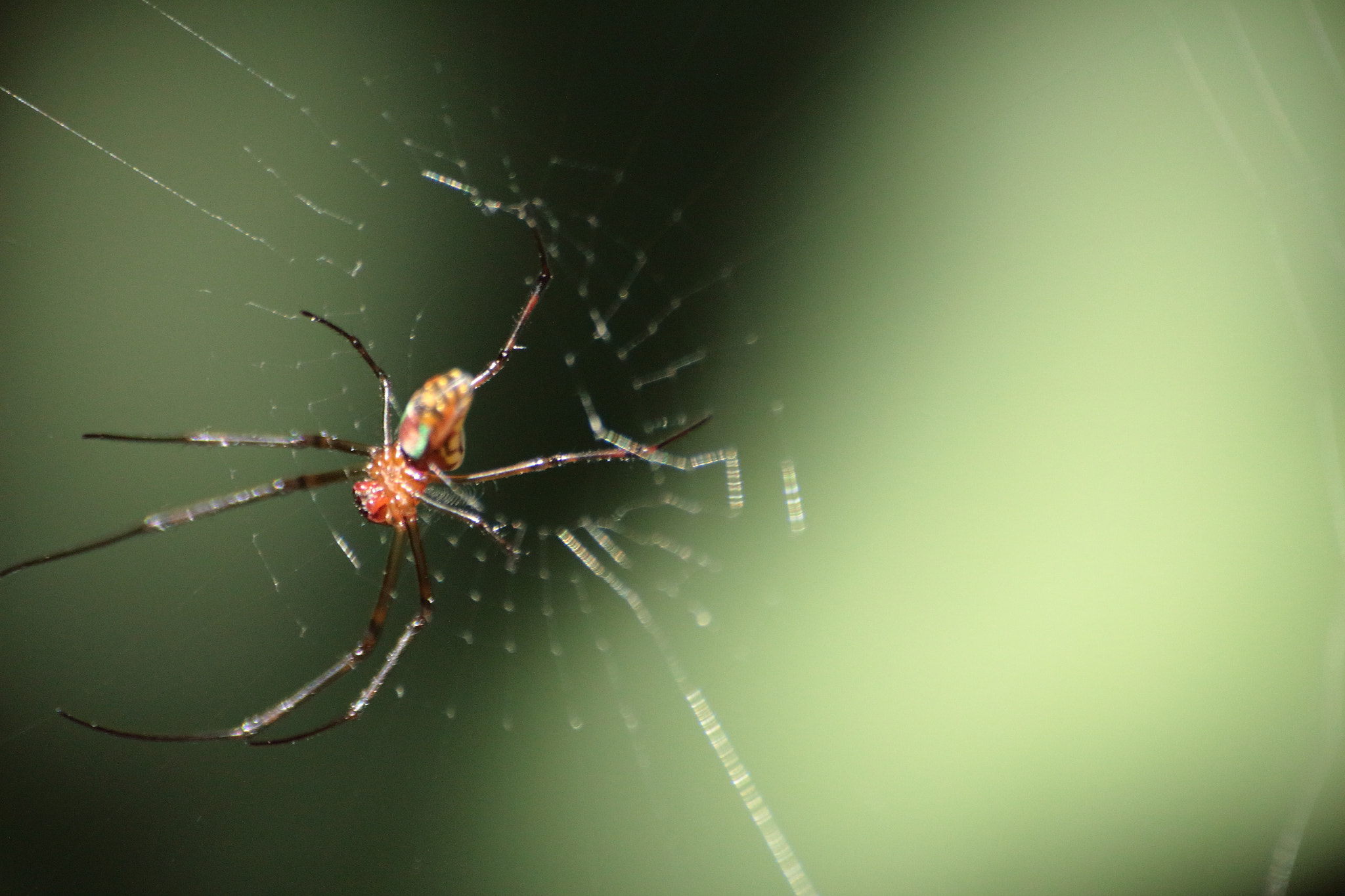 Canon EOS 700D (EOS Rebel T5i / EOS Kiss X7i) sample photo. Img photography