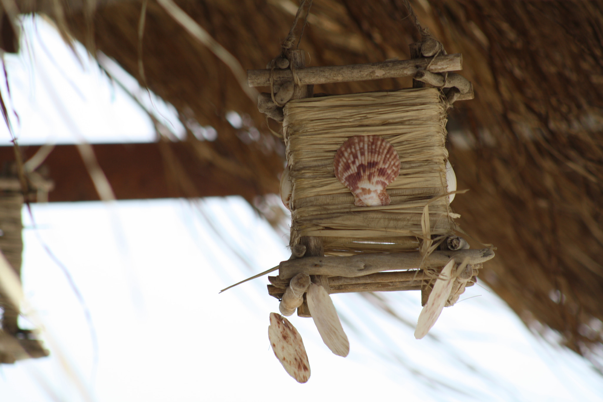 Canon EF 75-300mm f/4-5.6 USM sample photo. Img photography